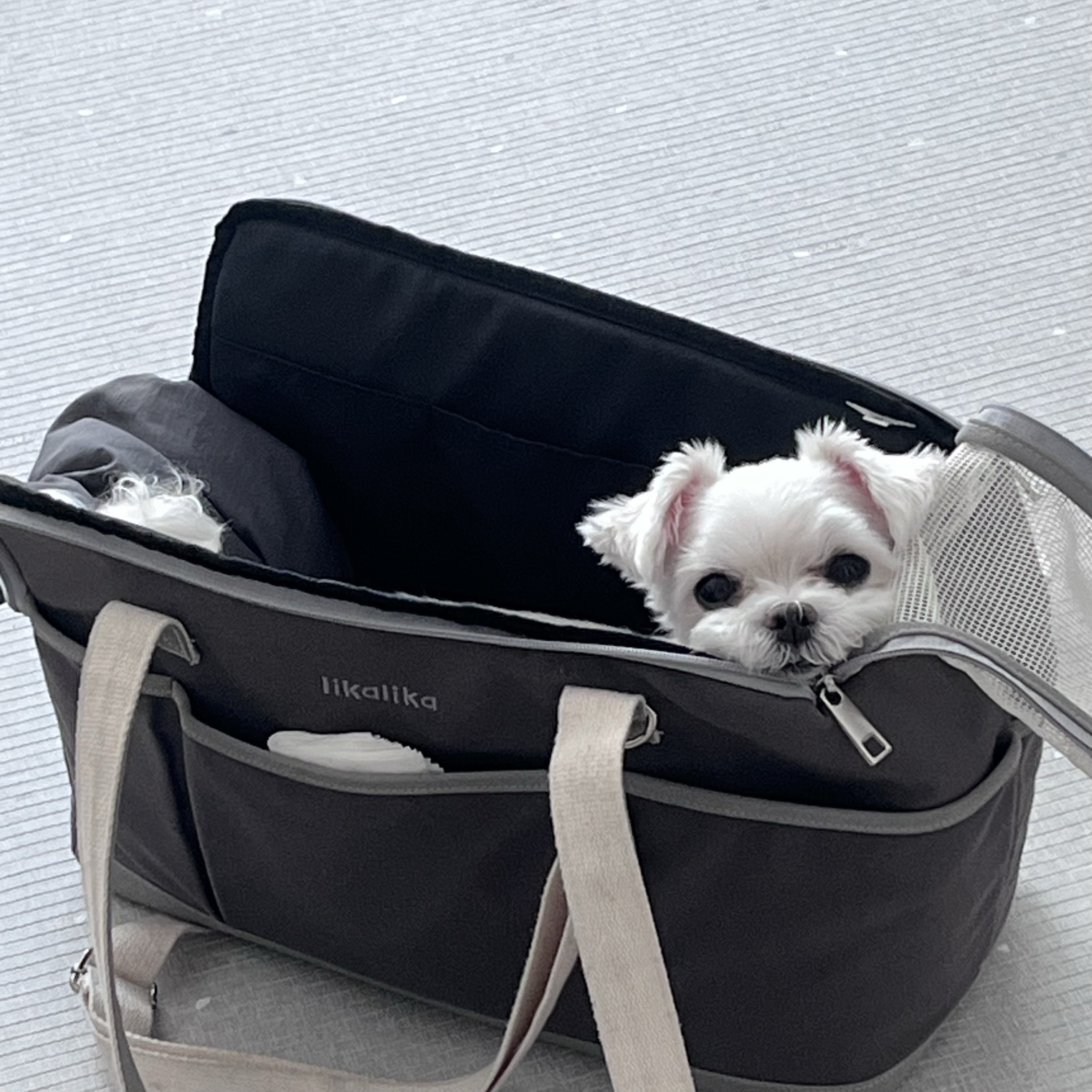 리뷰 사진 1