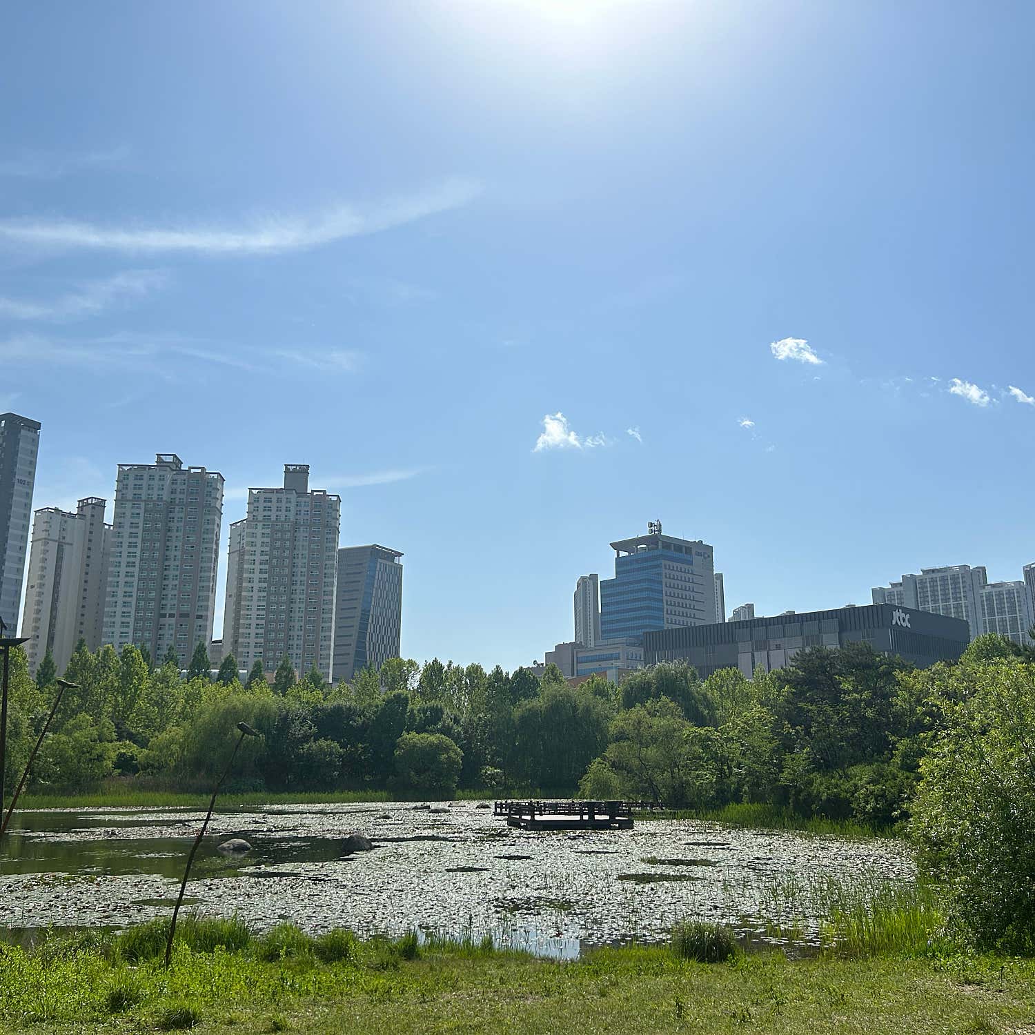 라엘르의원