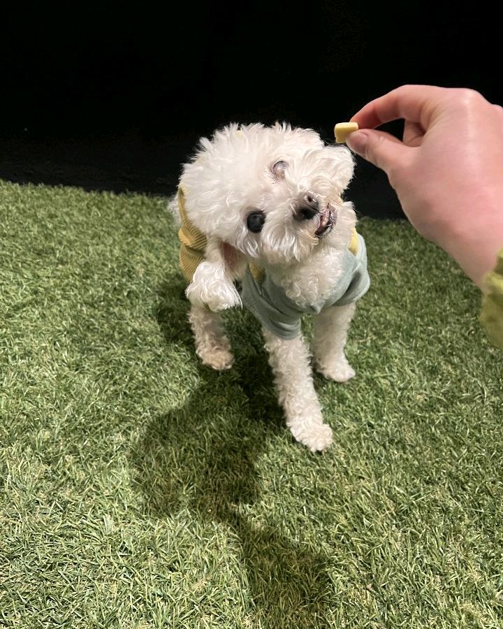 리뷰 사진 2