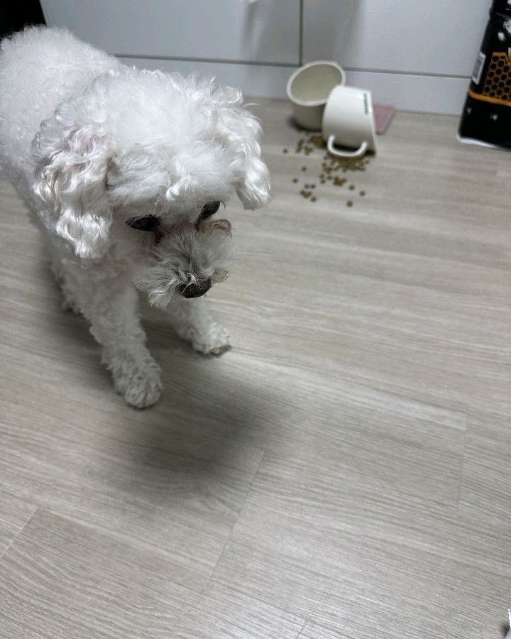 리뷰 사진 3