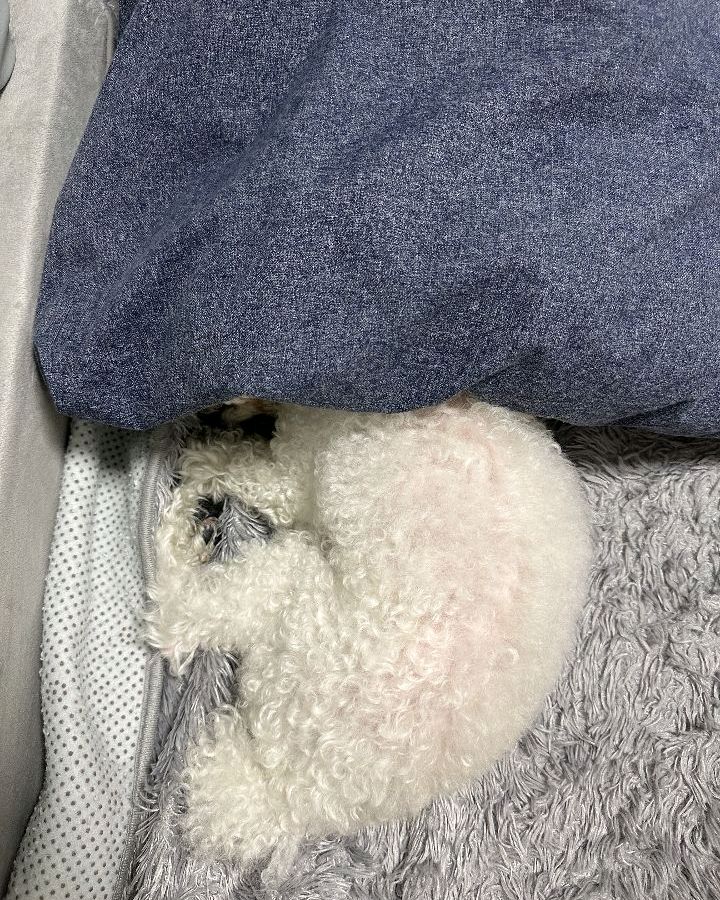 리뷰 사진 4