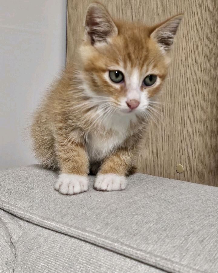 리뷰 사진 3