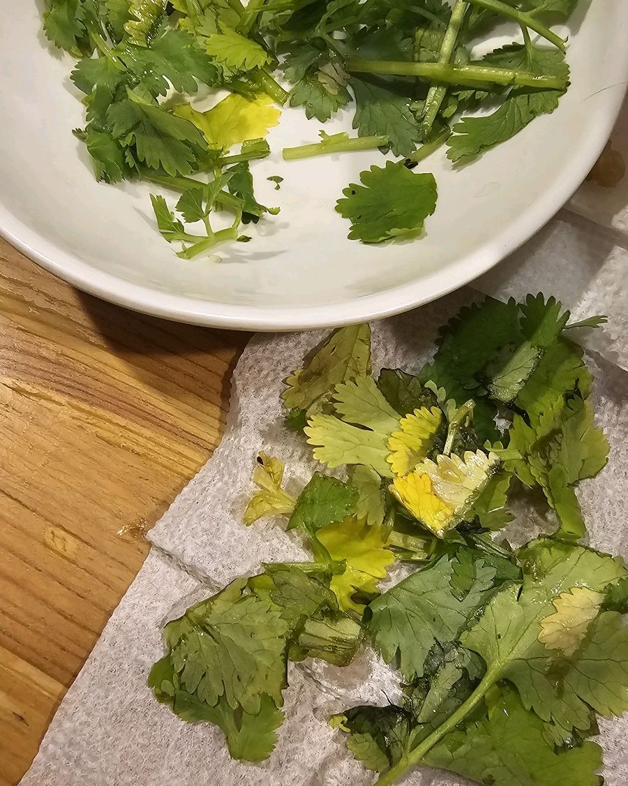 세번을 요청해야 받을 수 있었던 고수 상태입니다 - 합정동 맛집 미분당 합정점
