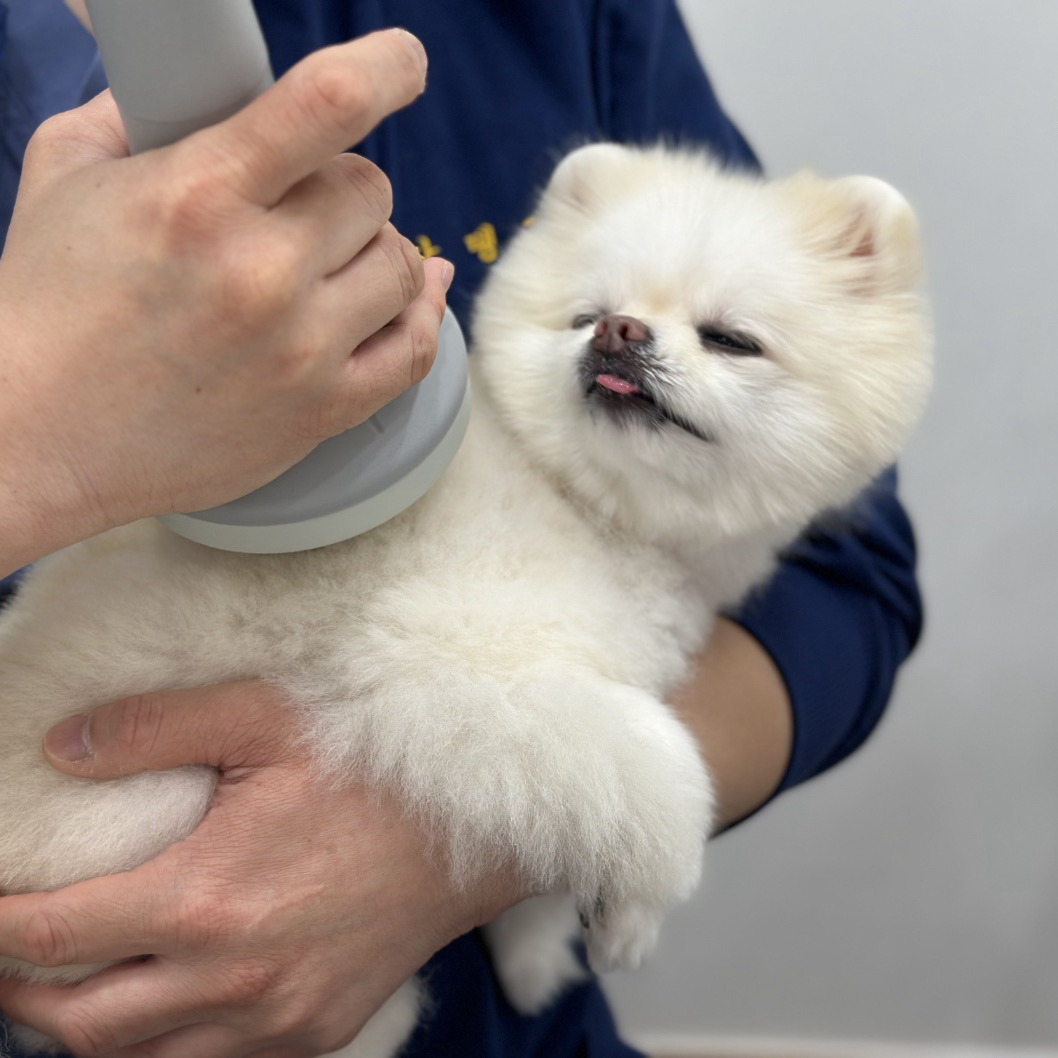리뷰 사진 2