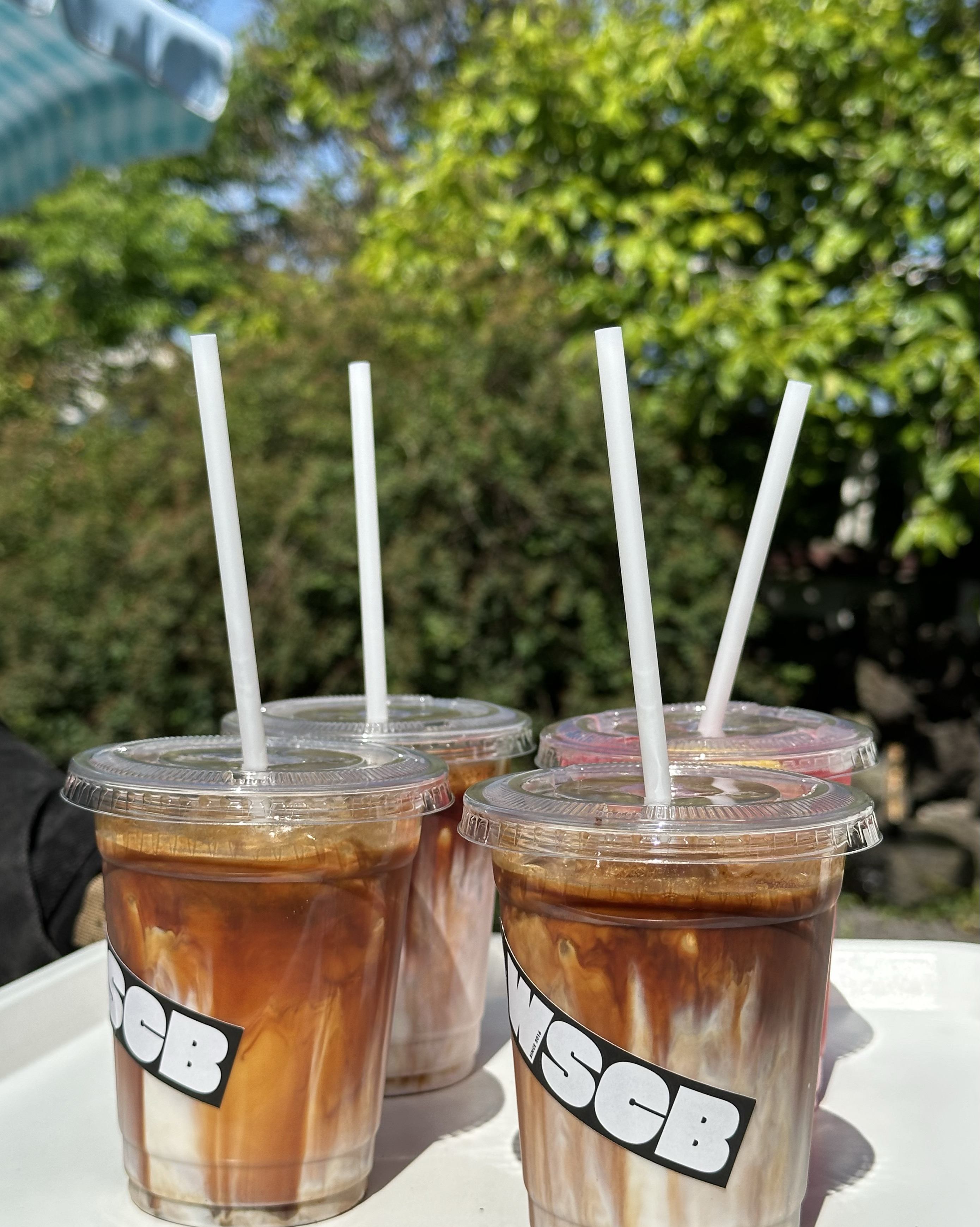 [애월 맛집 윈드스톤] 직접 가본 로컬 리뷰