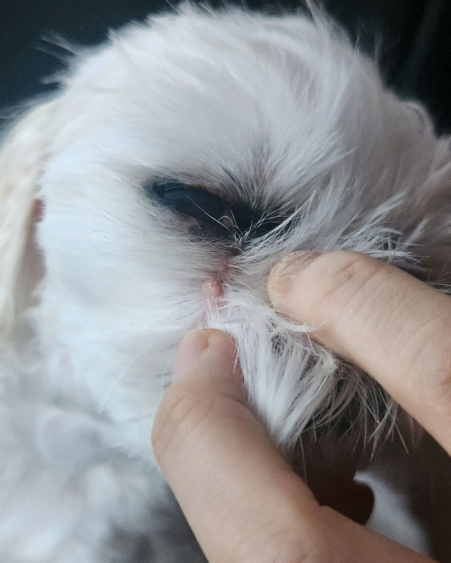 리뷰 사진 1