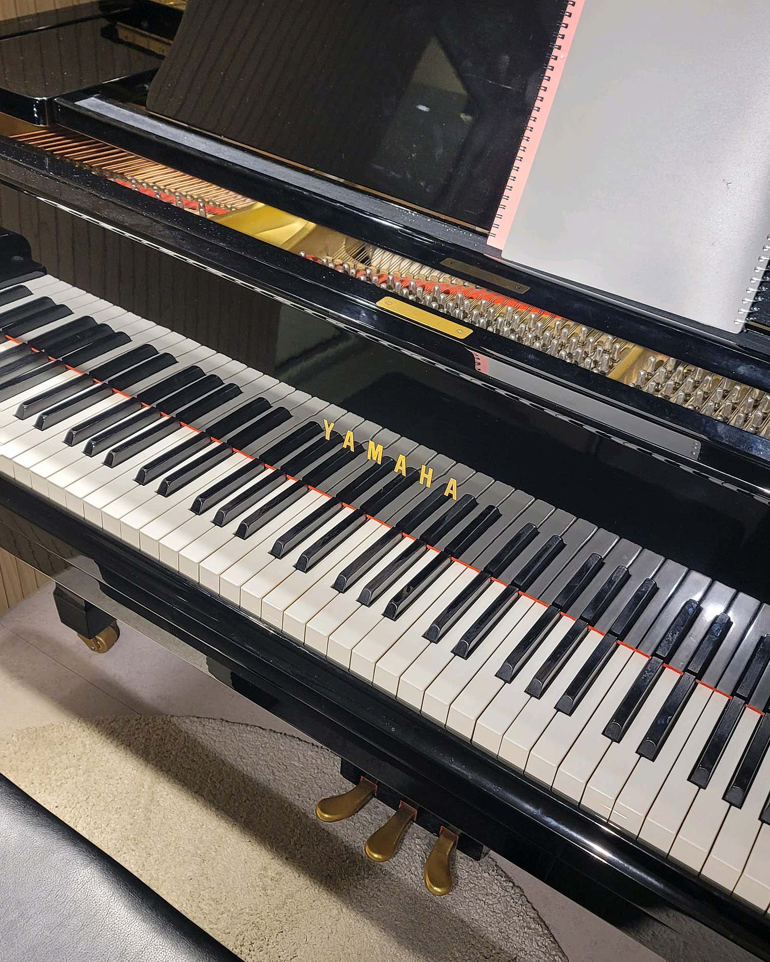 2번째 스튜디오 사진