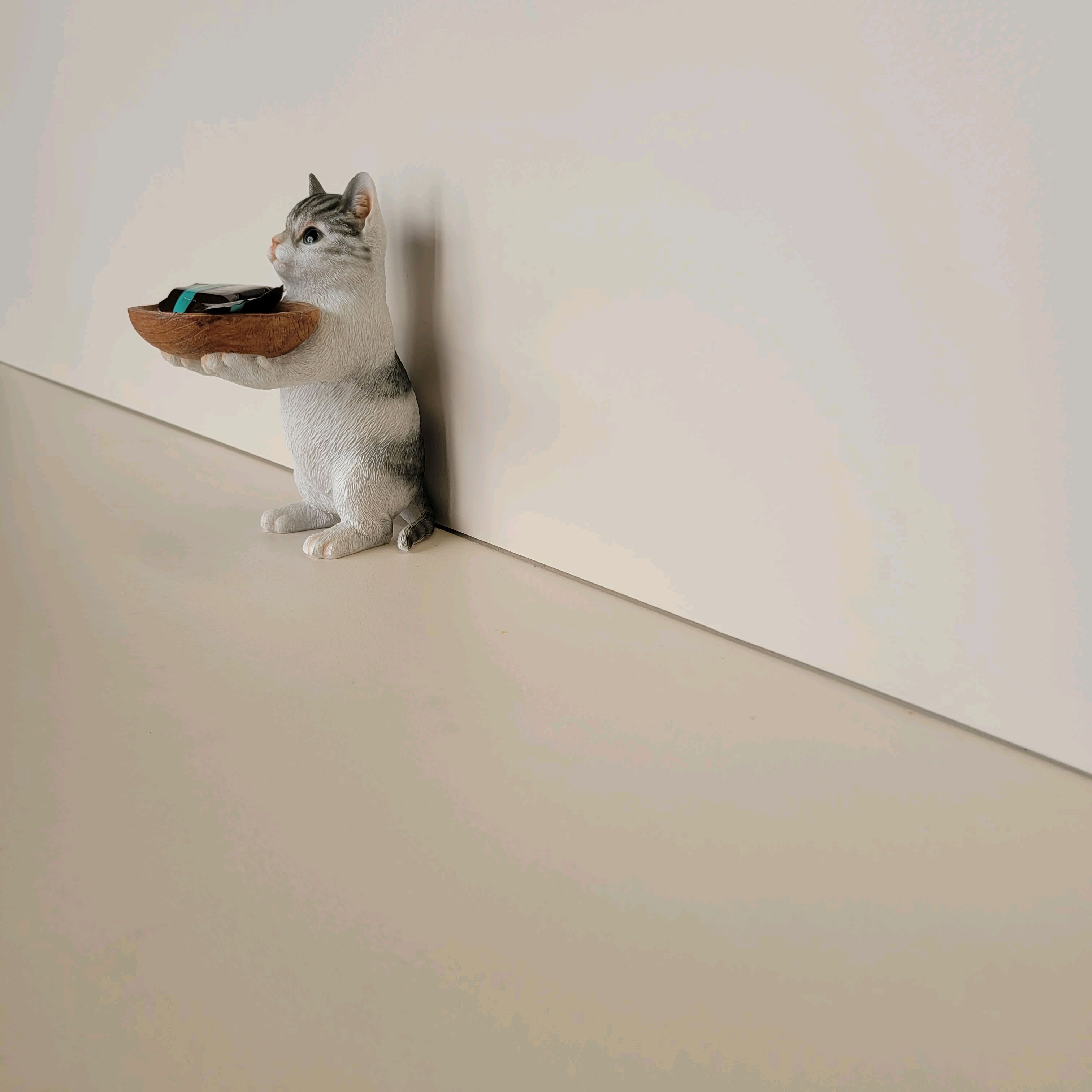 달카페 이미지