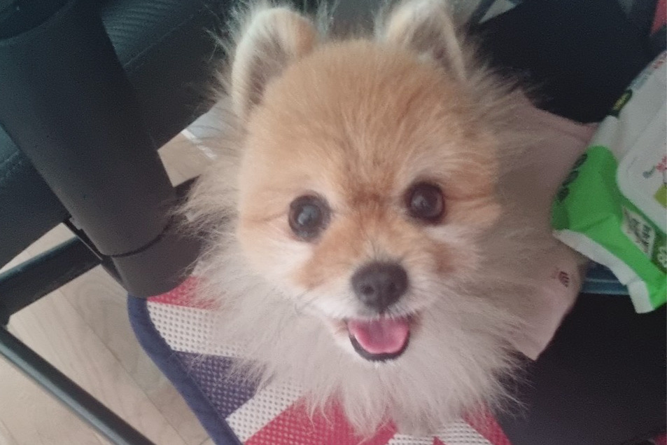 리뷰 사진 3