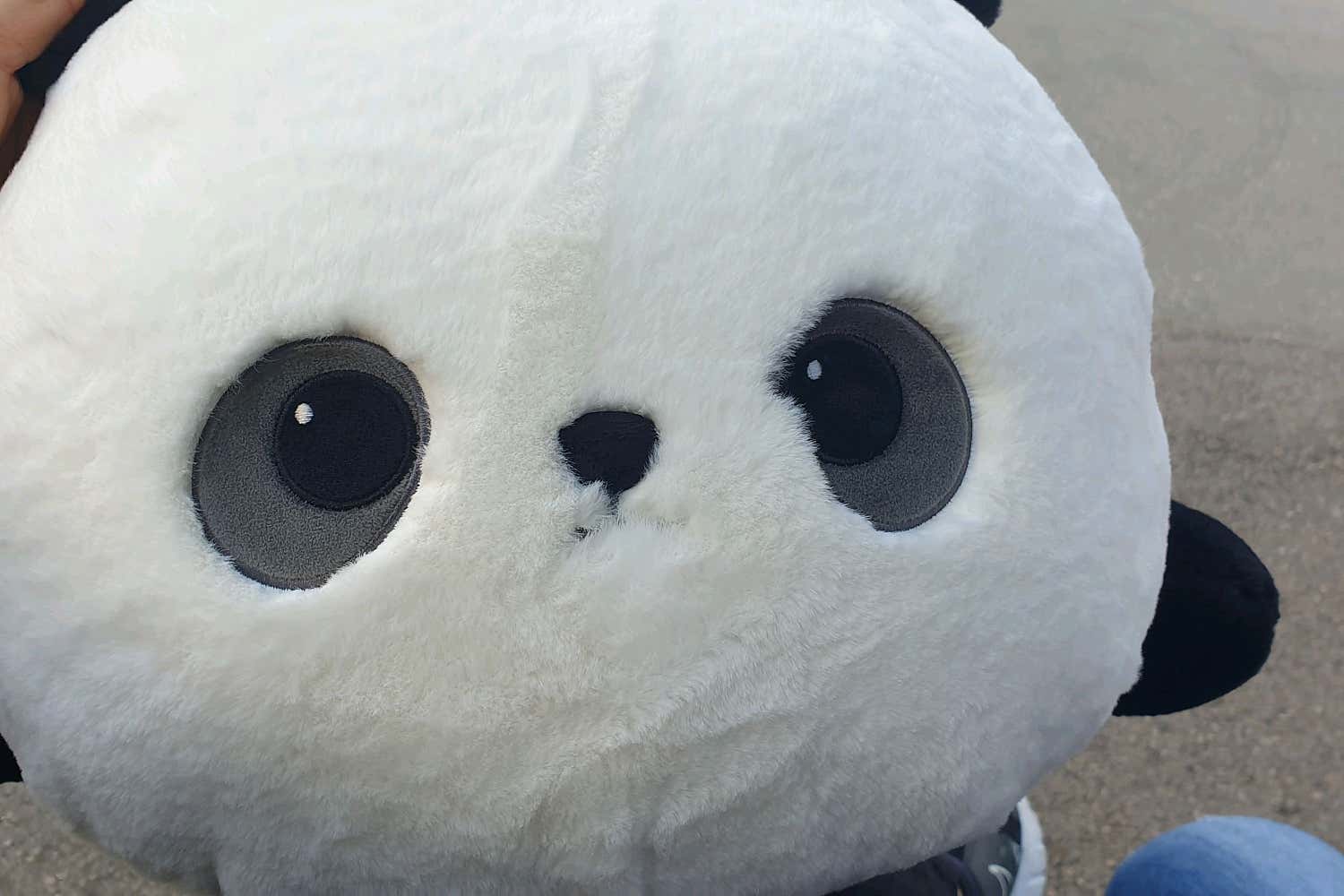 오렌지정형외과의원