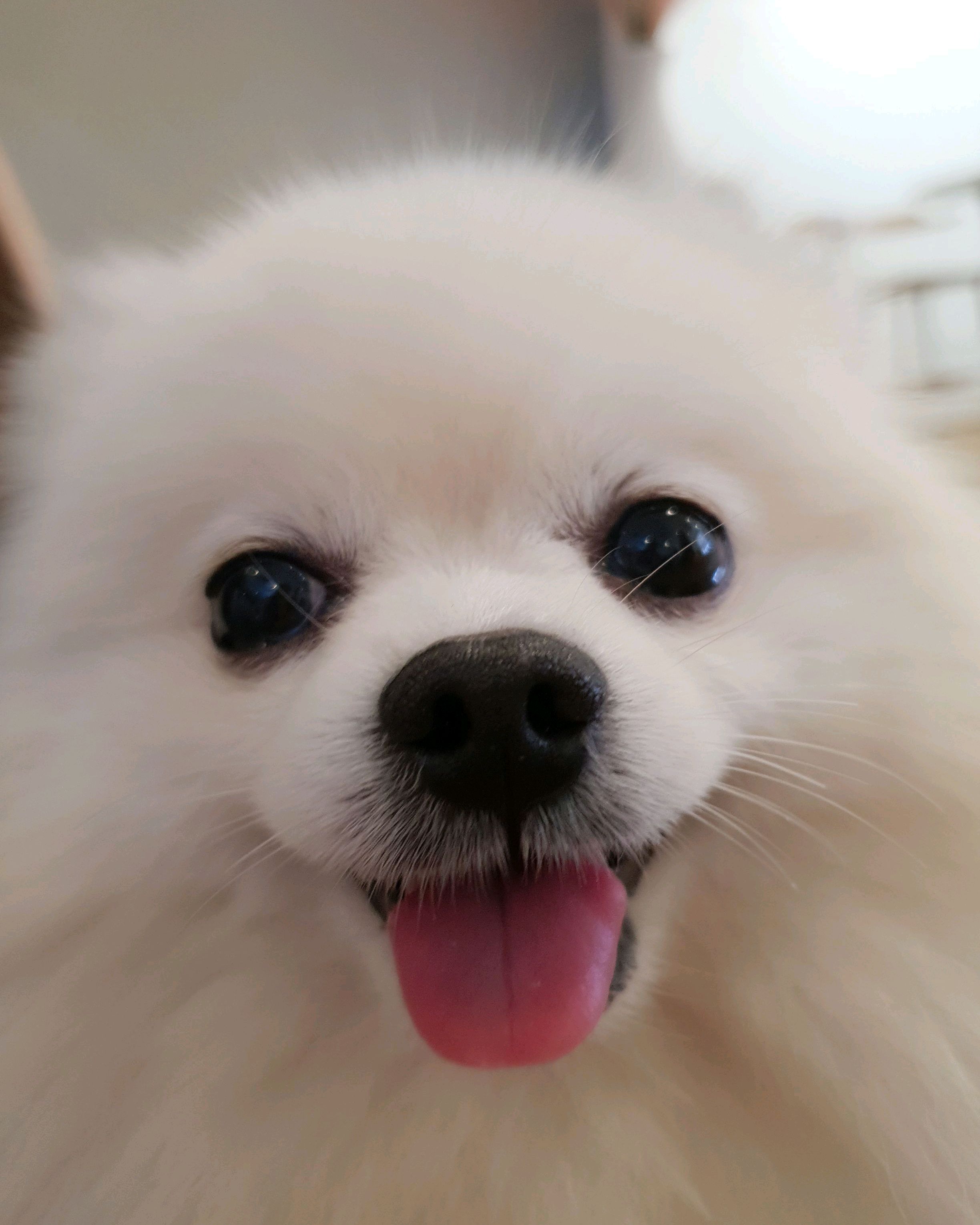 리뷰 사진 1