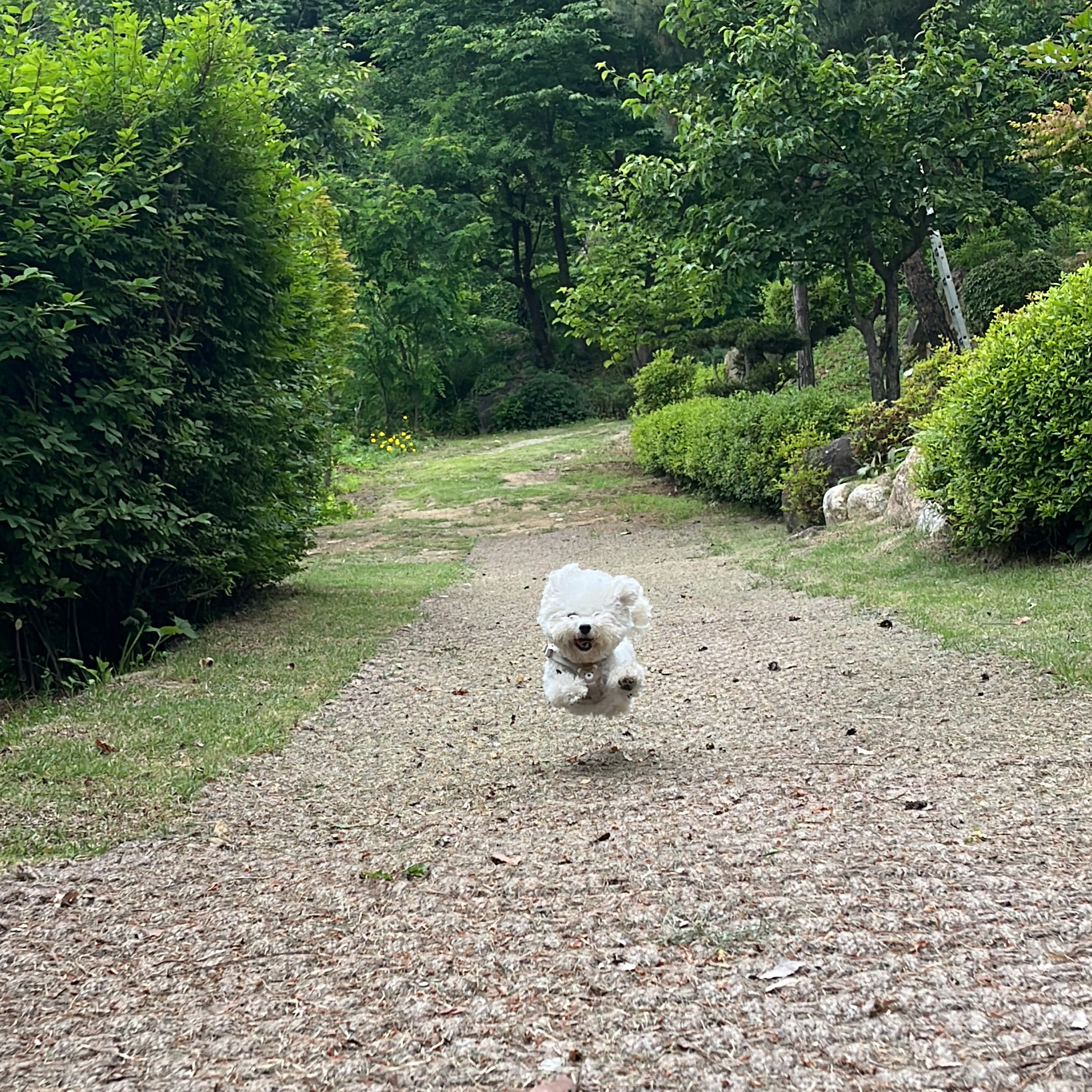리뷰 사진 1