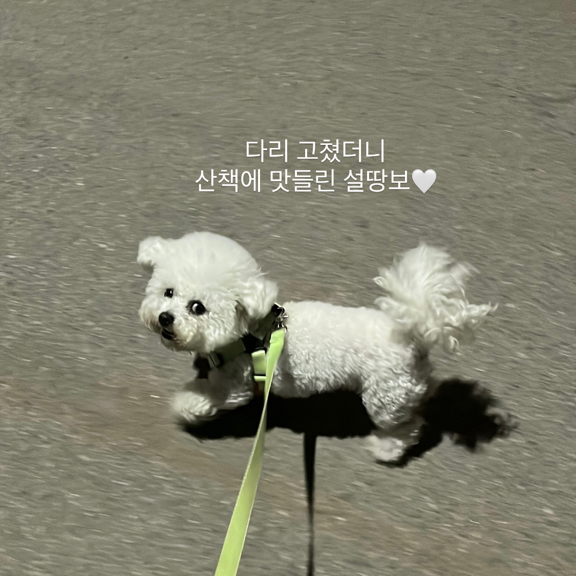 리뷰 사진 2