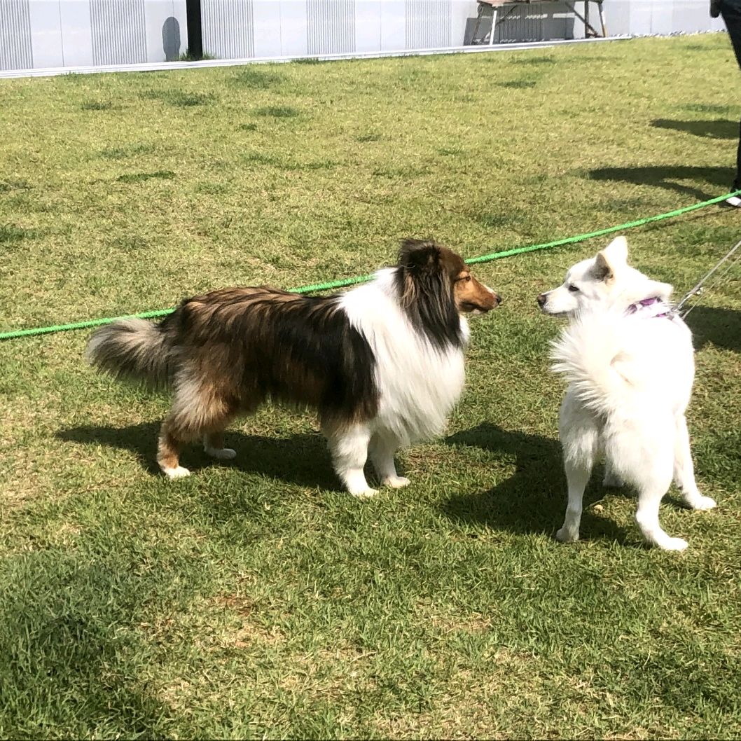 리뷰 사진 2