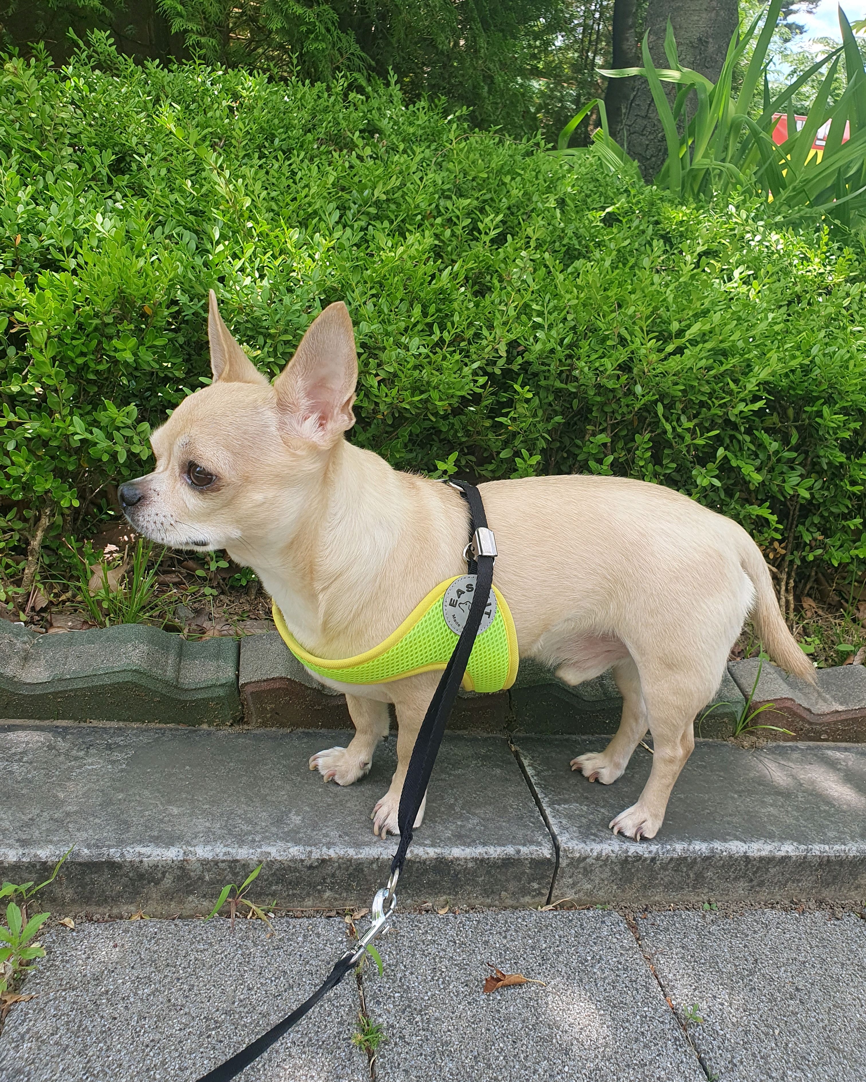 리뷰 사진 1