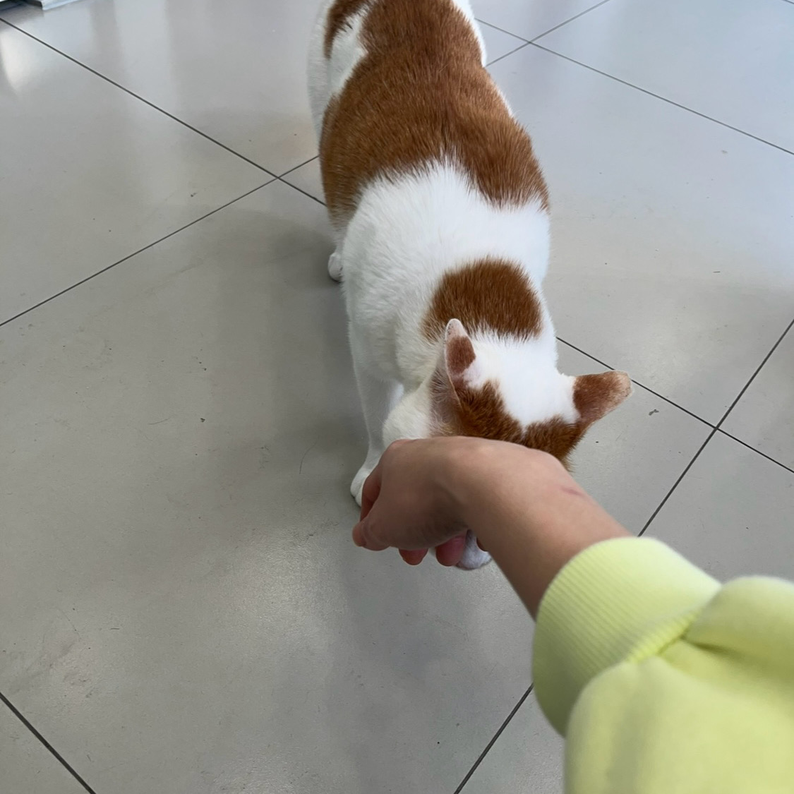 리뷰 사진 3