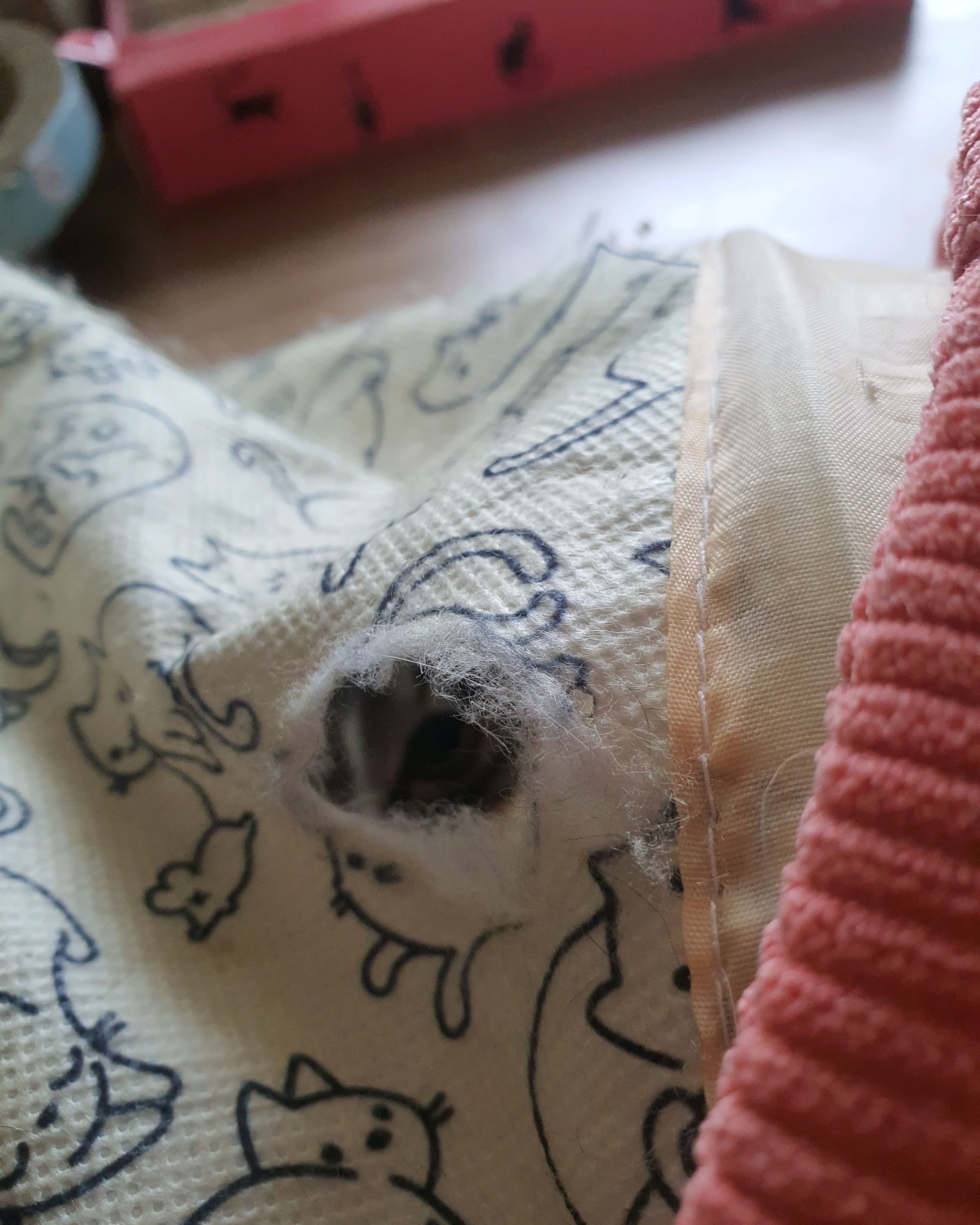 리뷰 사진 2