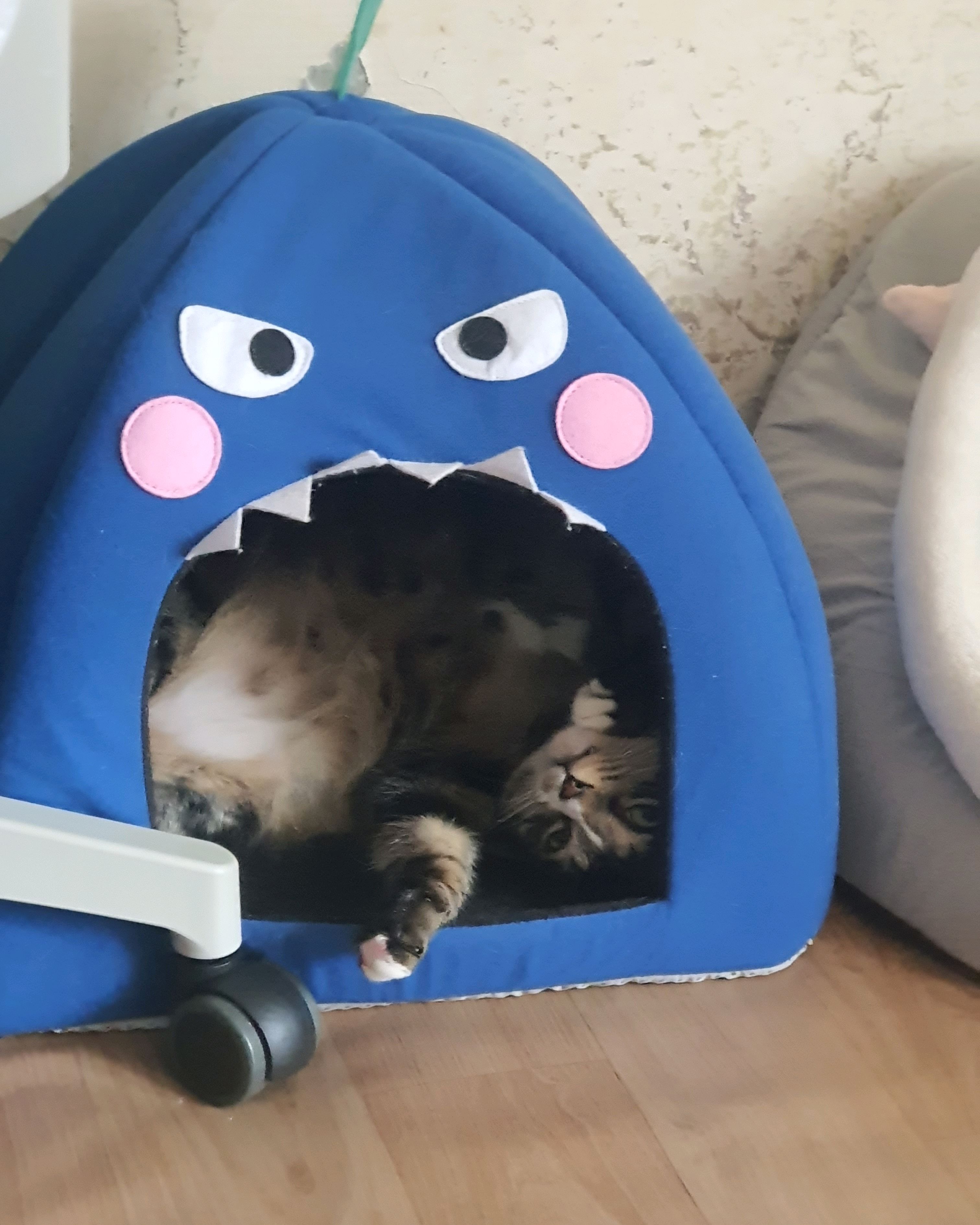 리뷰 사진 1
