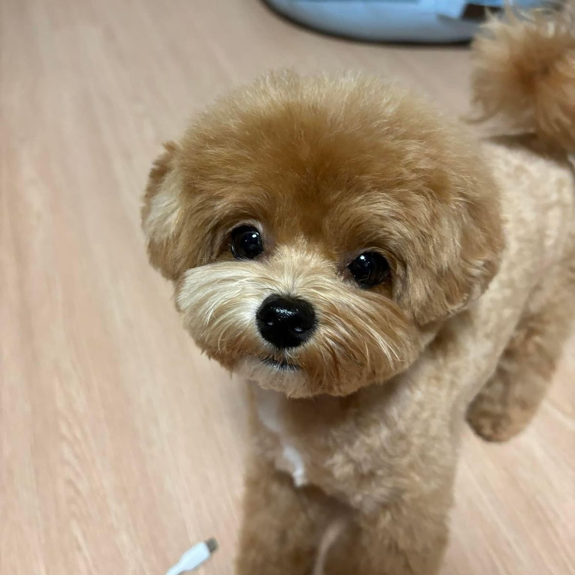 리뷰 사진 1
