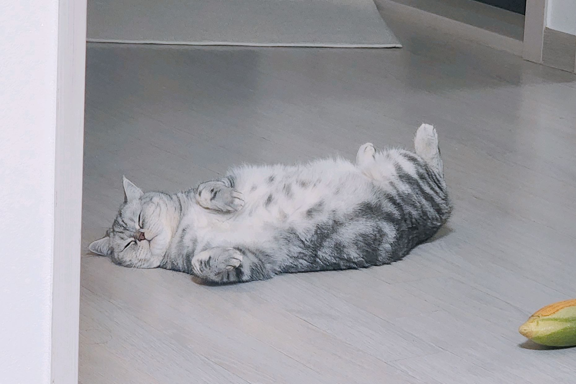 알프스동물병원 사진 3
