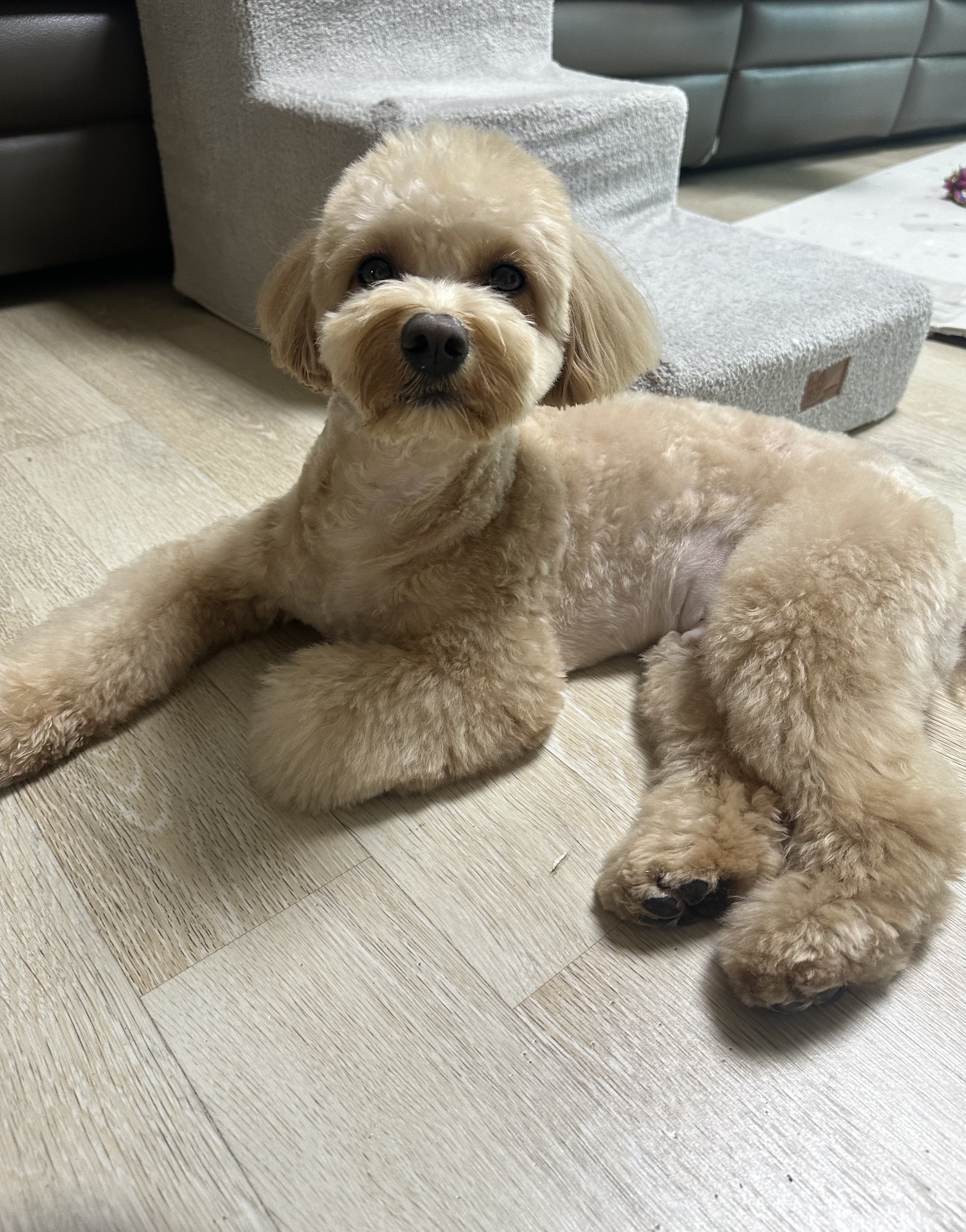 리뷰 사진 1