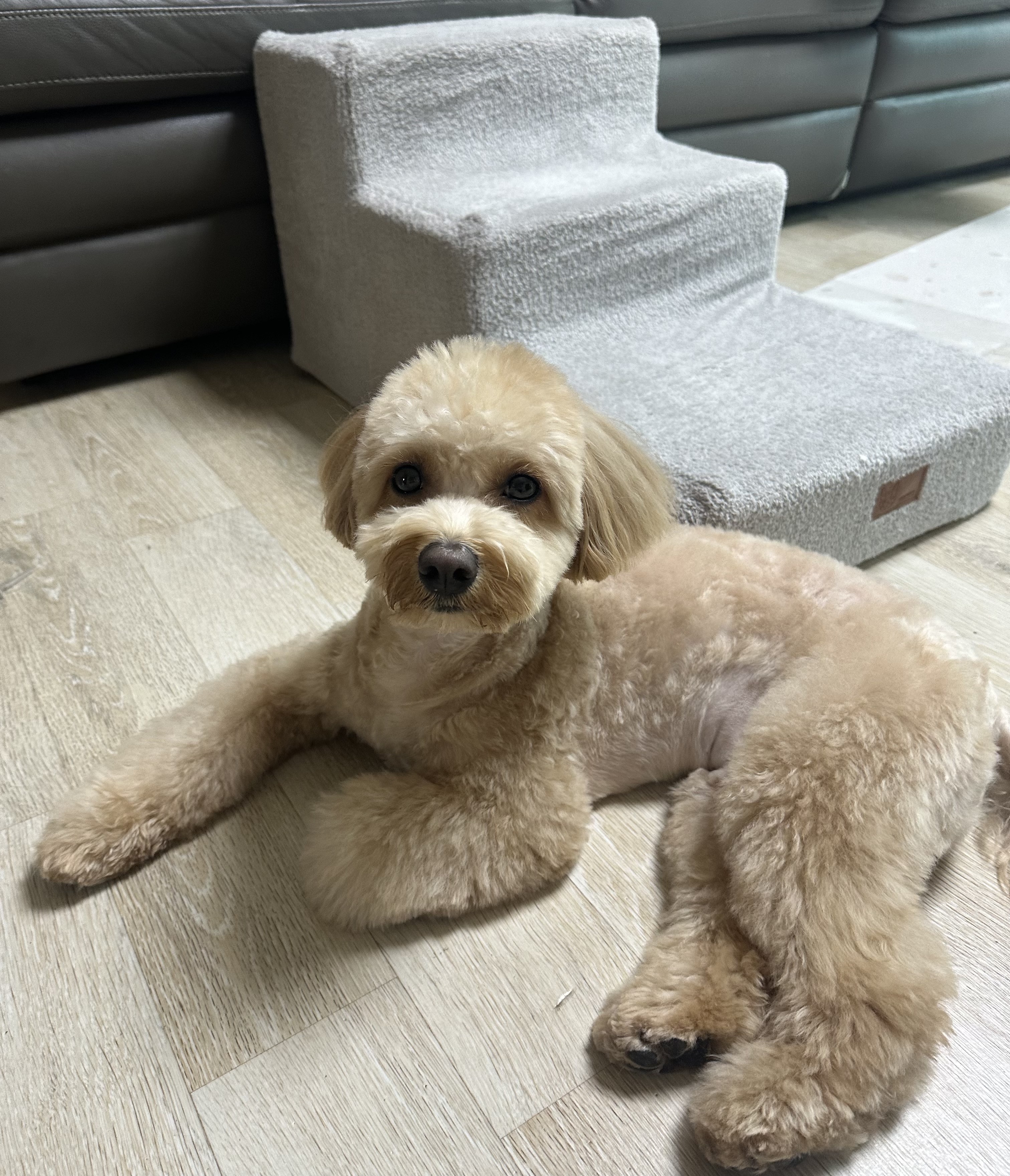 리뷰 사진 2