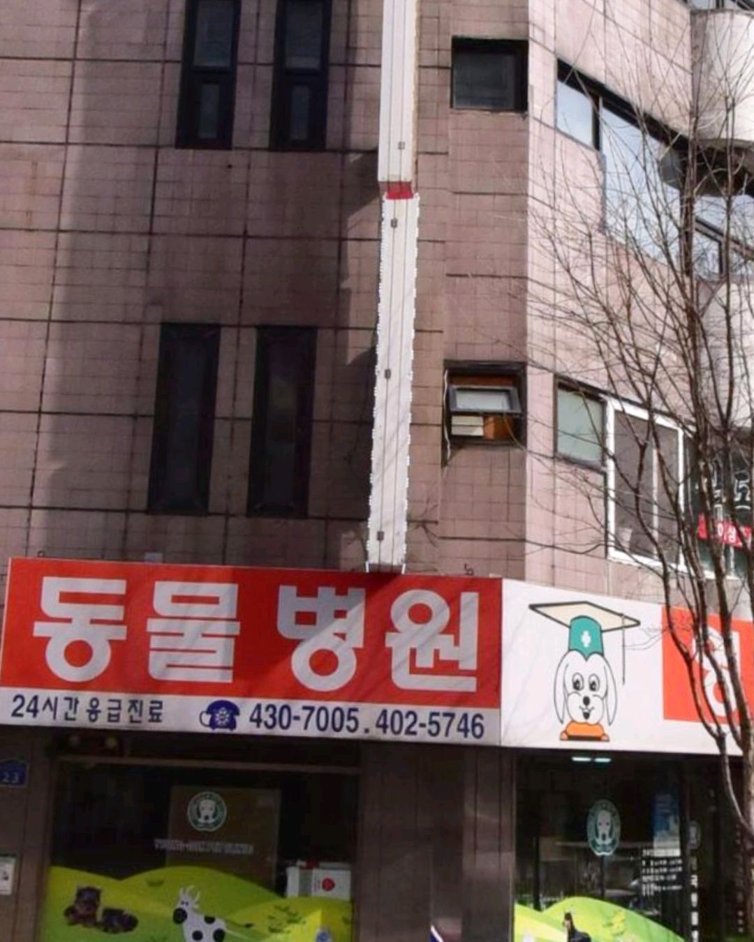 영국동물병원 사진 2