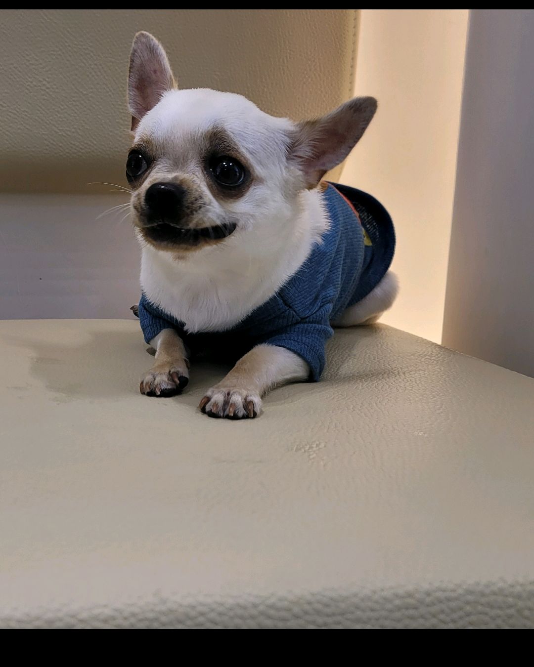 리뷰 사진 1