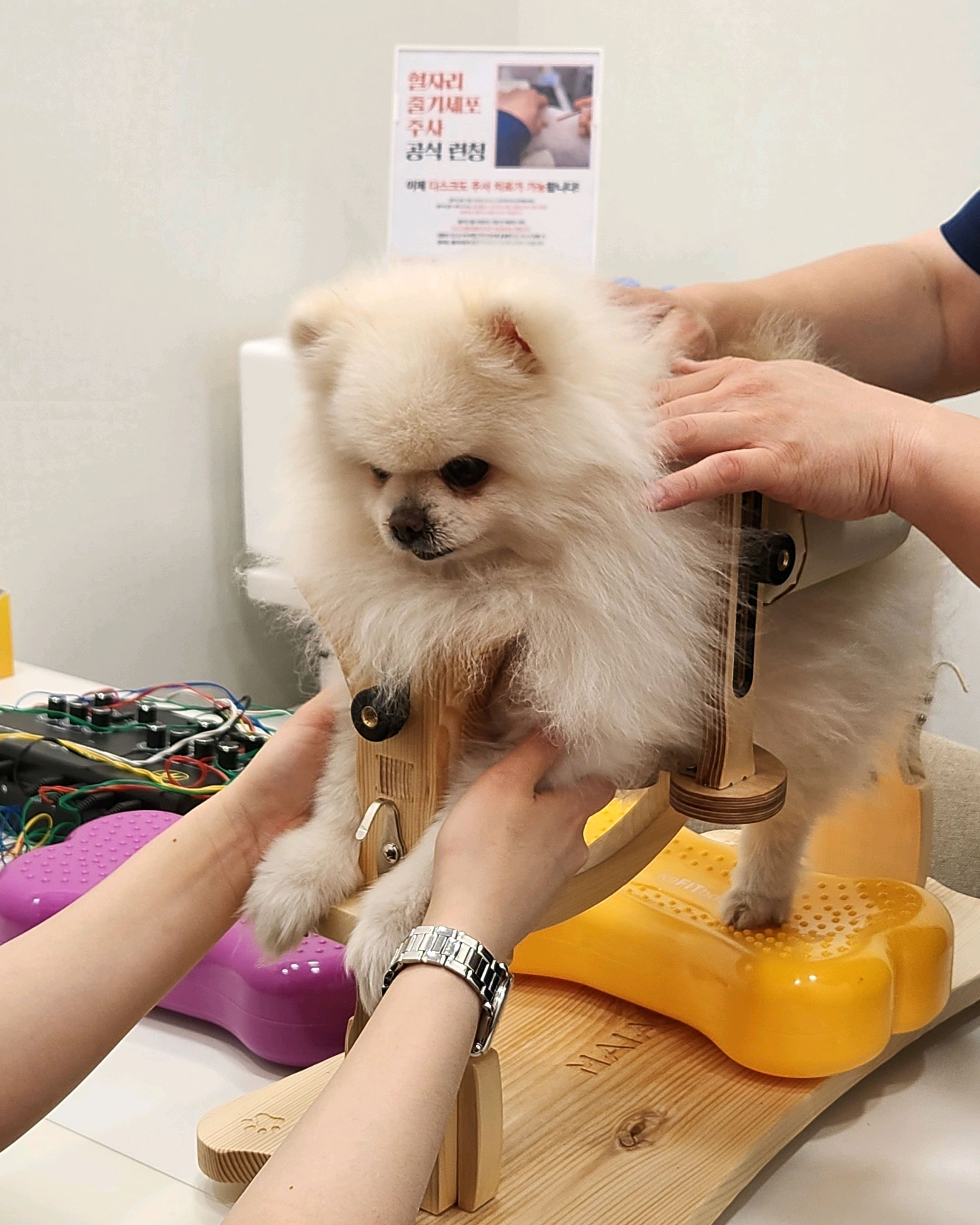 리뷰 사진 1