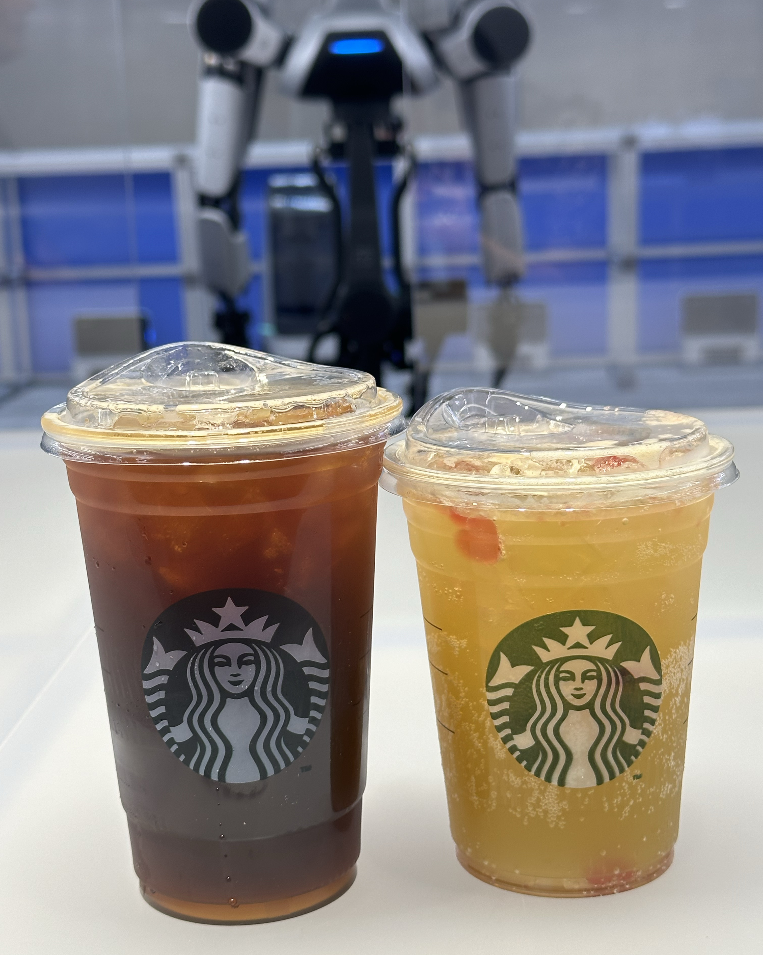 정자역 맛집 스타벅스 네이버1784점 내돈내산 방문리뷰