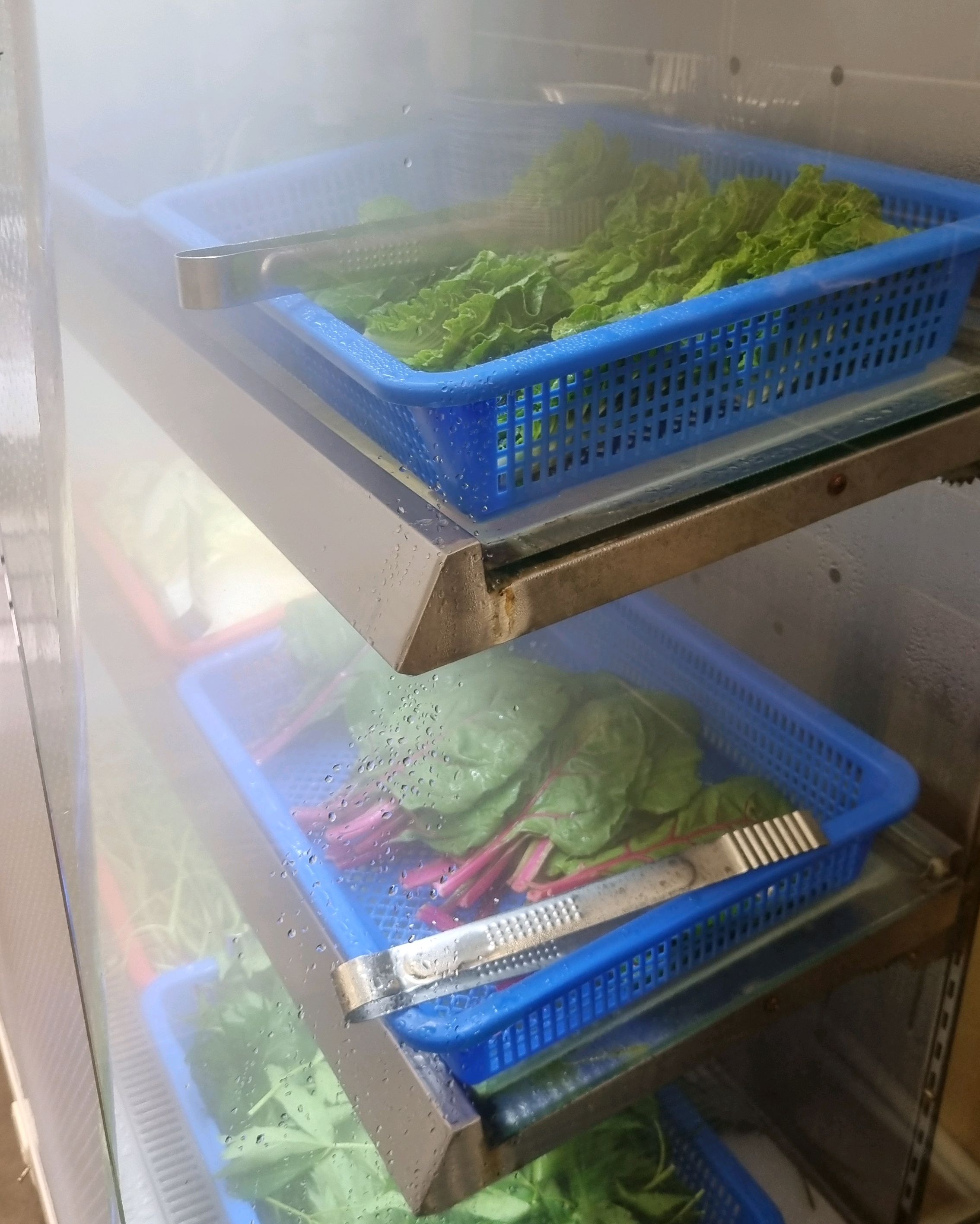 쌈채소가 많아서좋아요!고사리 숙주나물도 무한리필!직원분들 친절하심. 우삼격도 맛괜춘~!다만