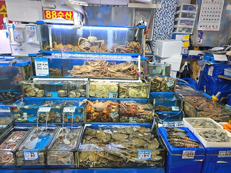 
서울시 동작구 노량진 맛집 88수산