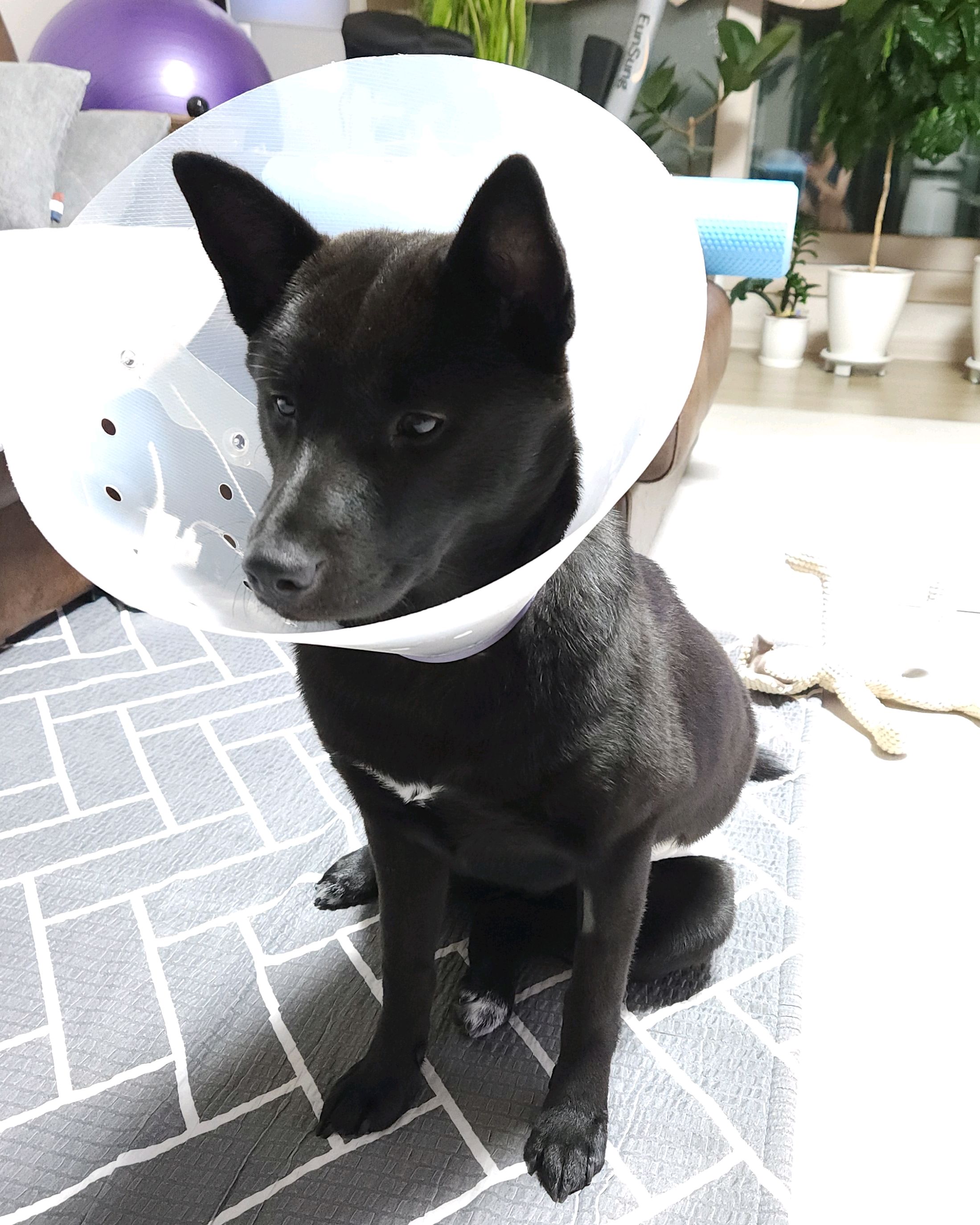리뷰 사진 1