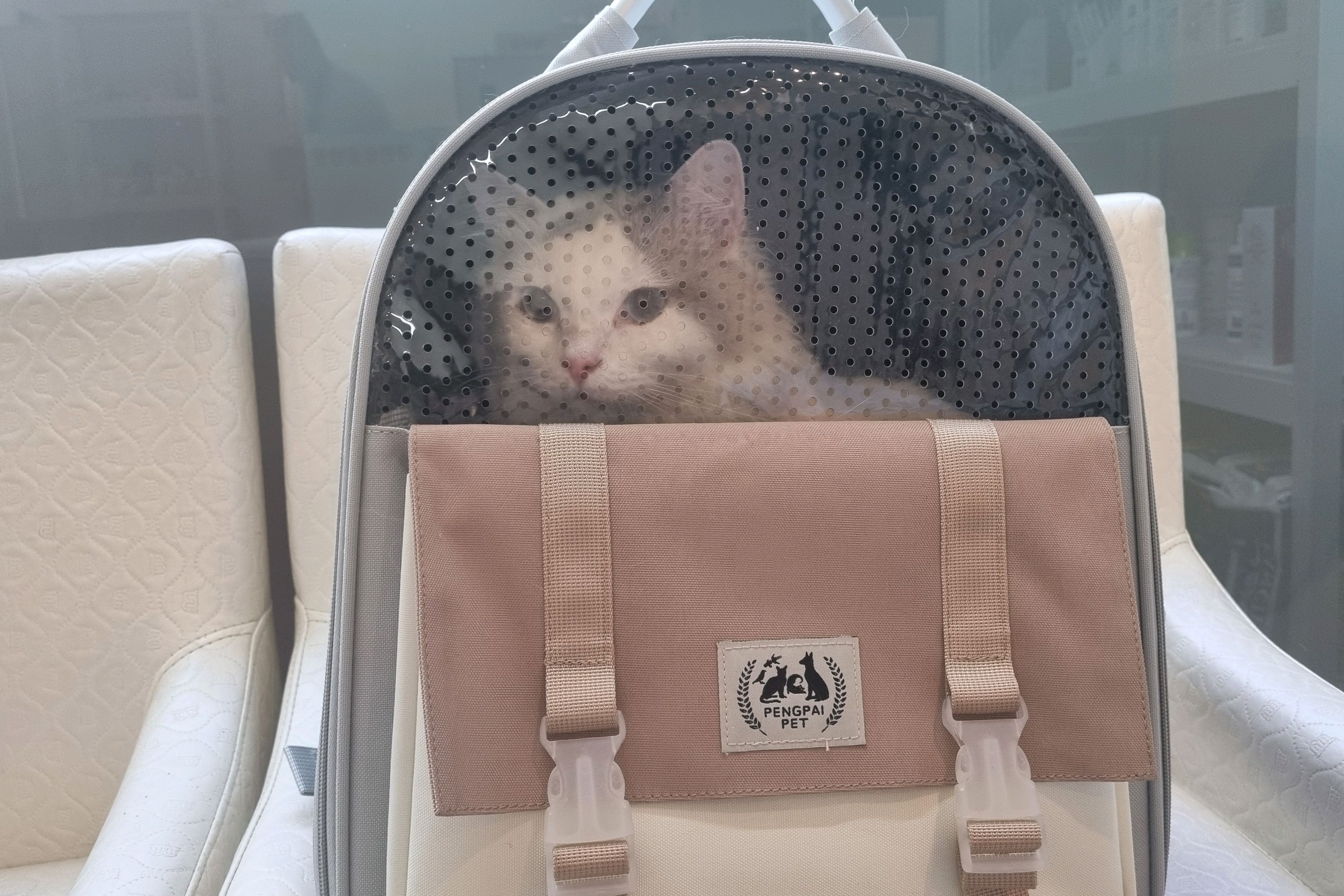 구민동물병원 사진 5