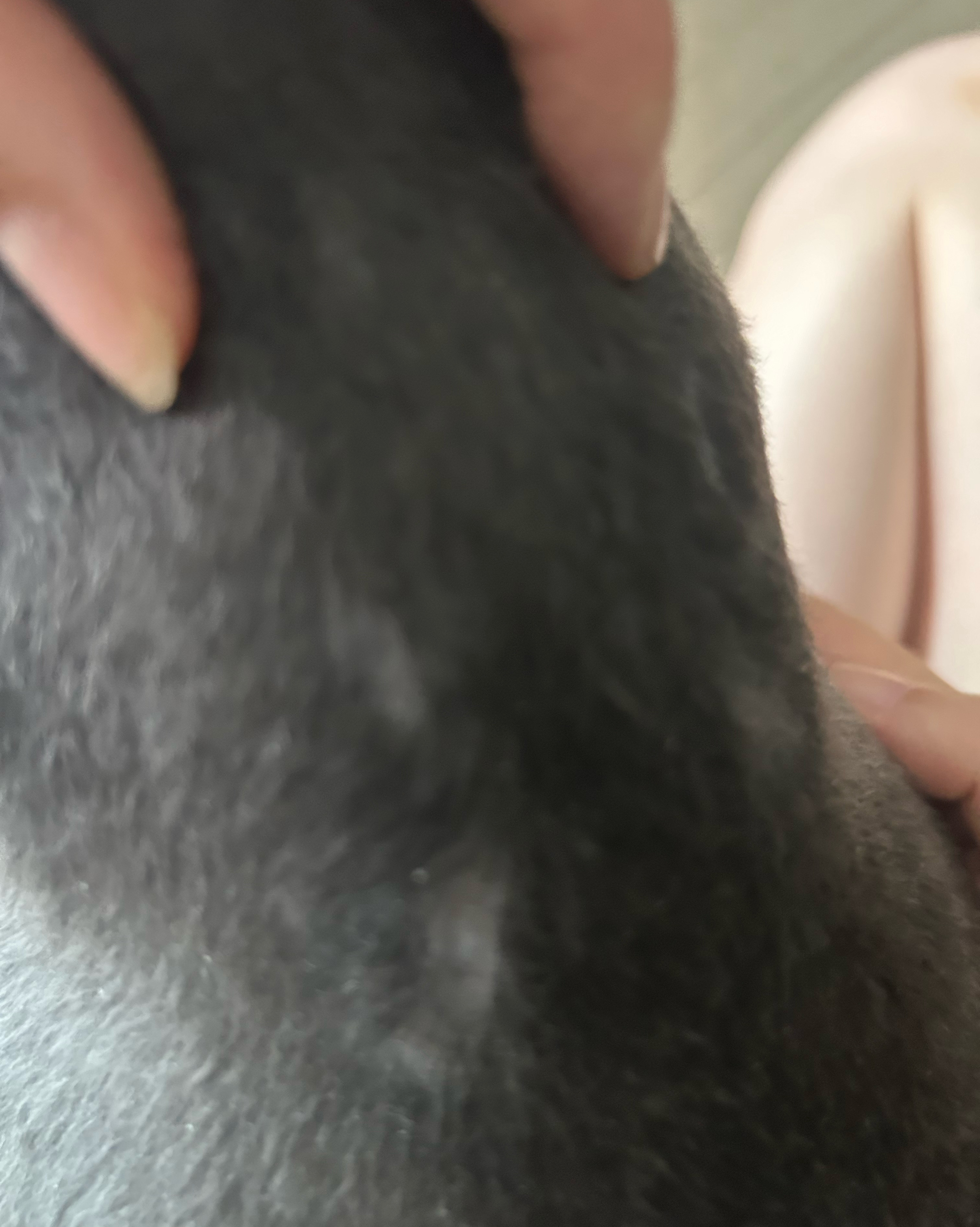 리뷰 사진 1