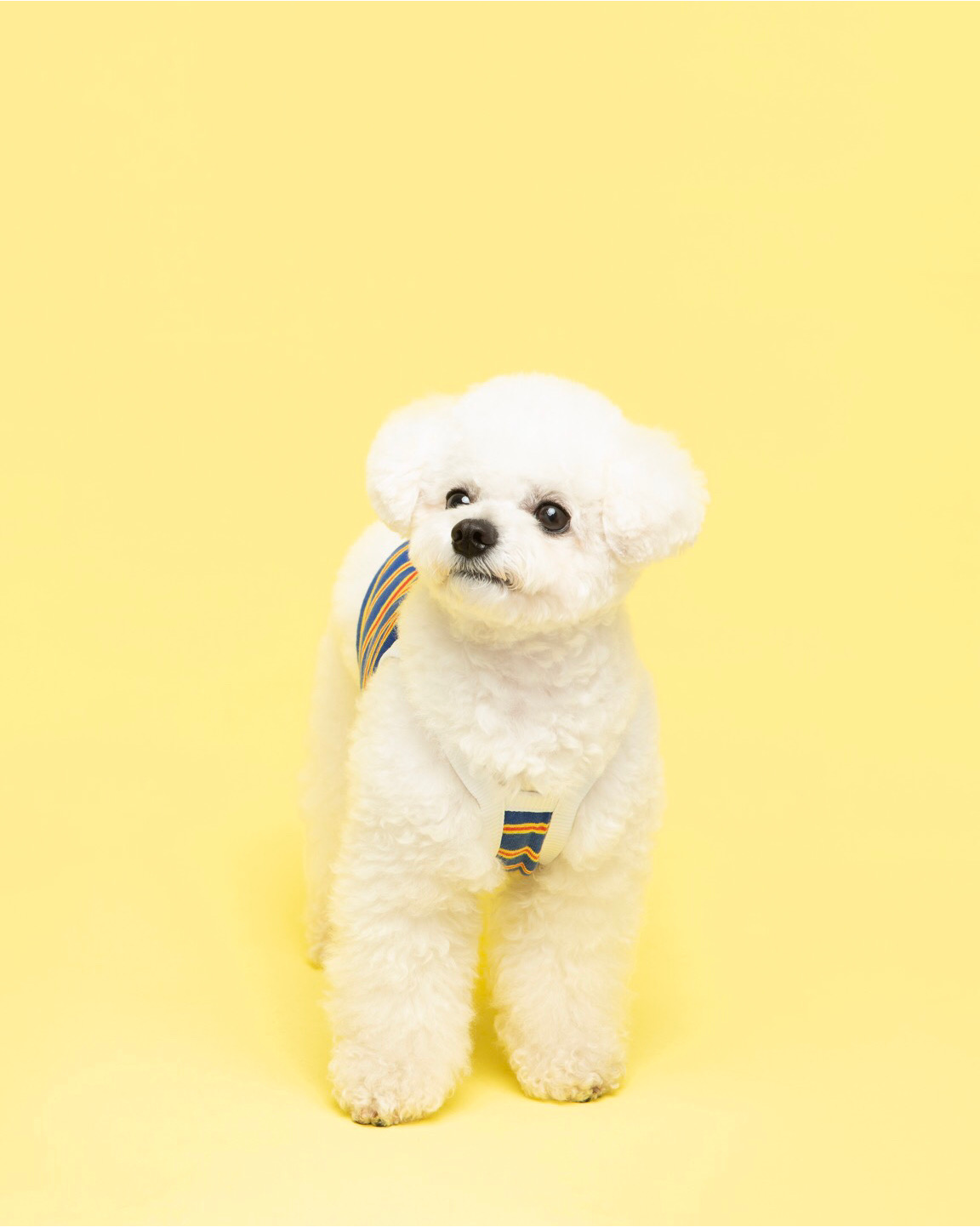 리뷰 사진 2
