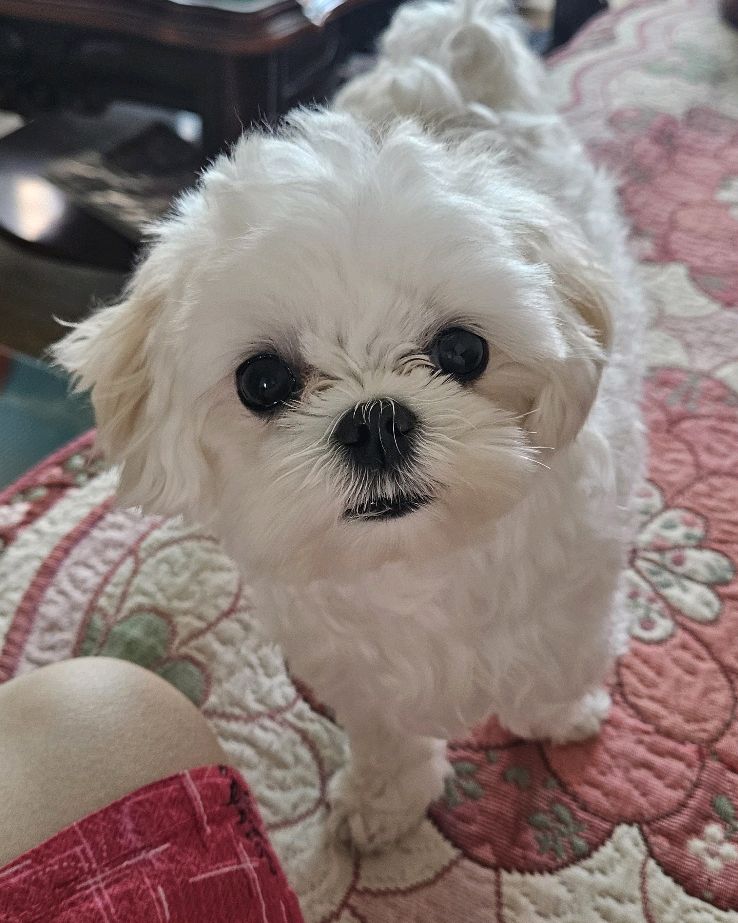리뷰 사진 1