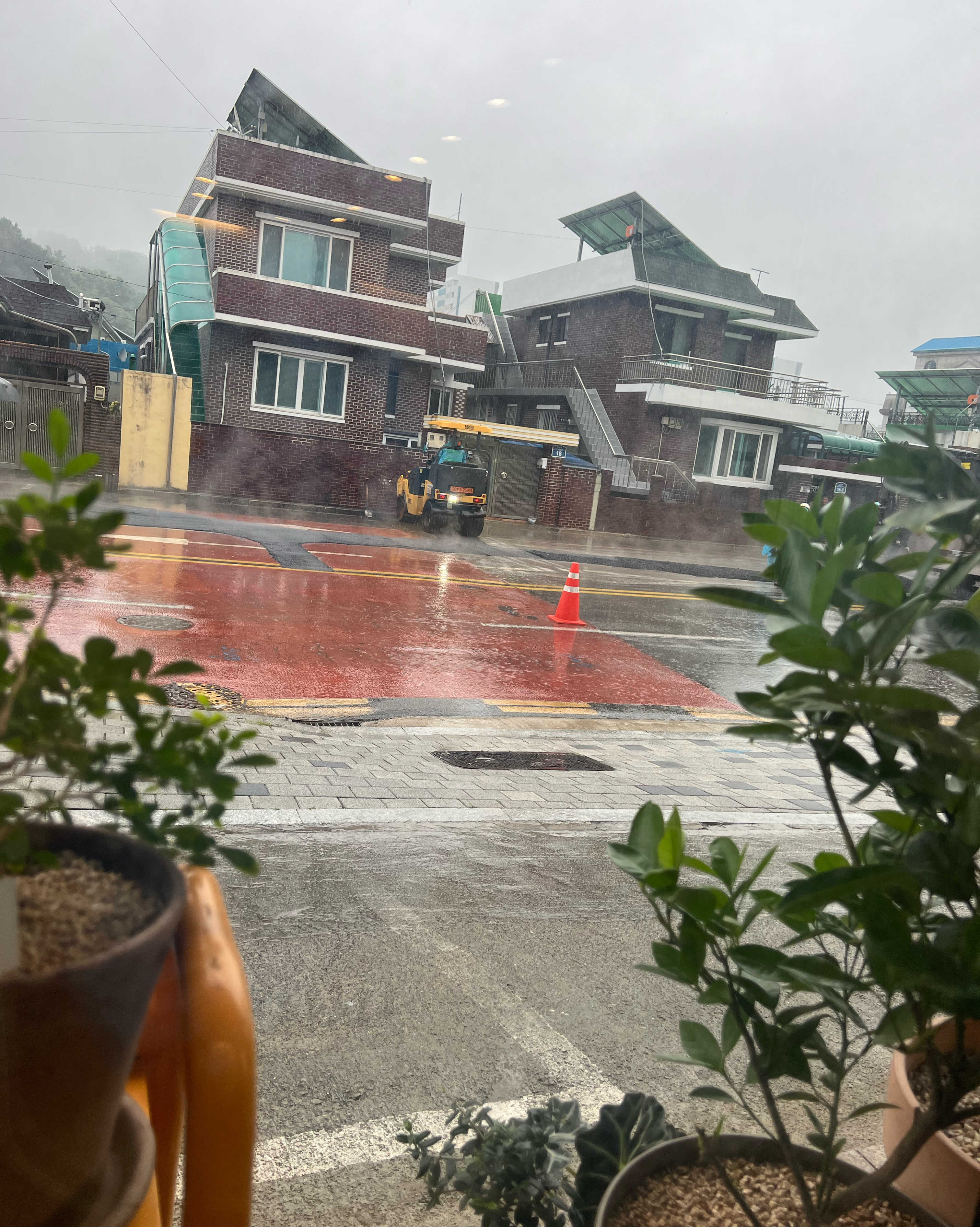 [삼척 맛집 지영샌드] 직접 가본 로컬 리뷰