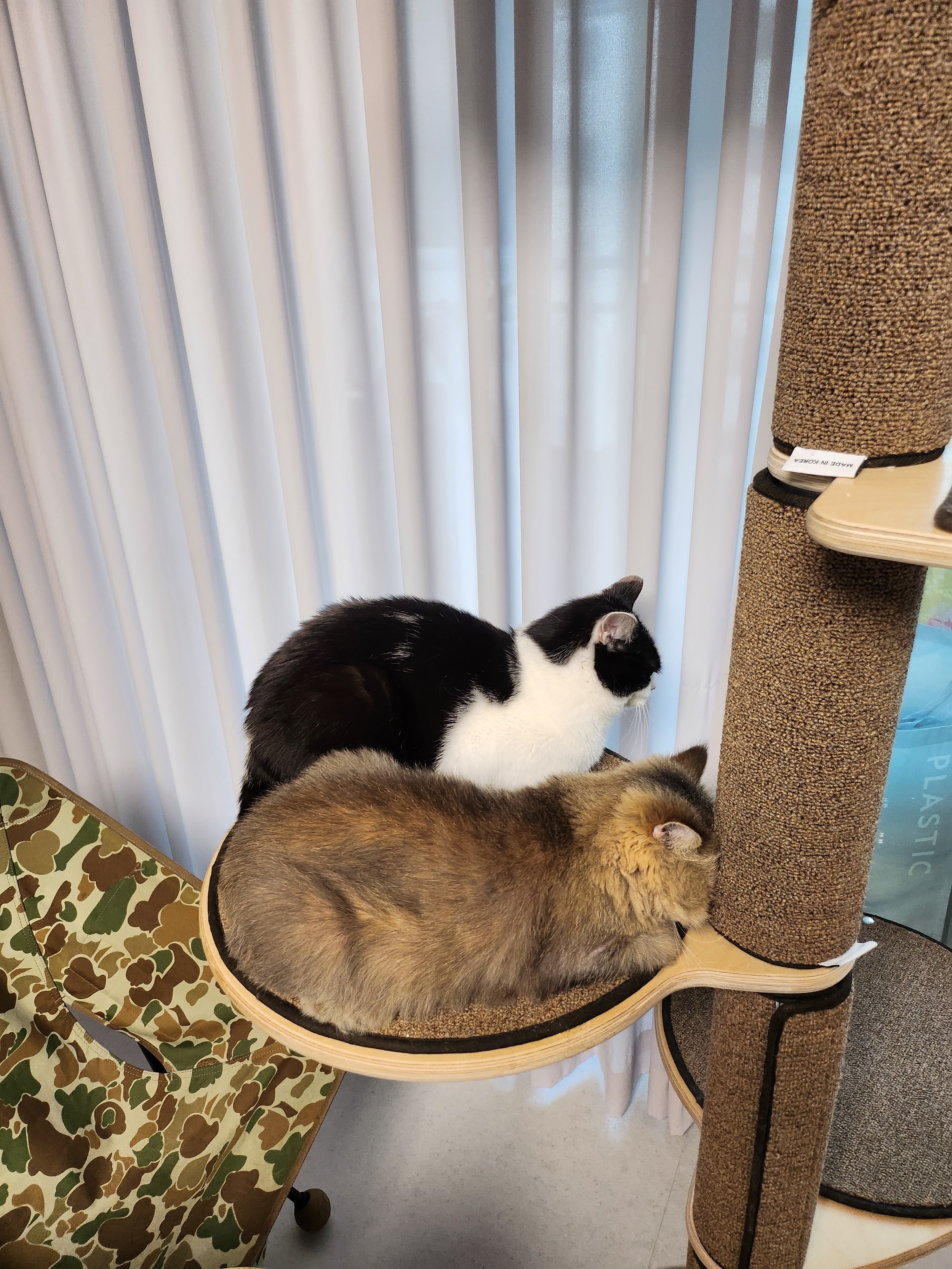 에이스 동물병원 사진 3
