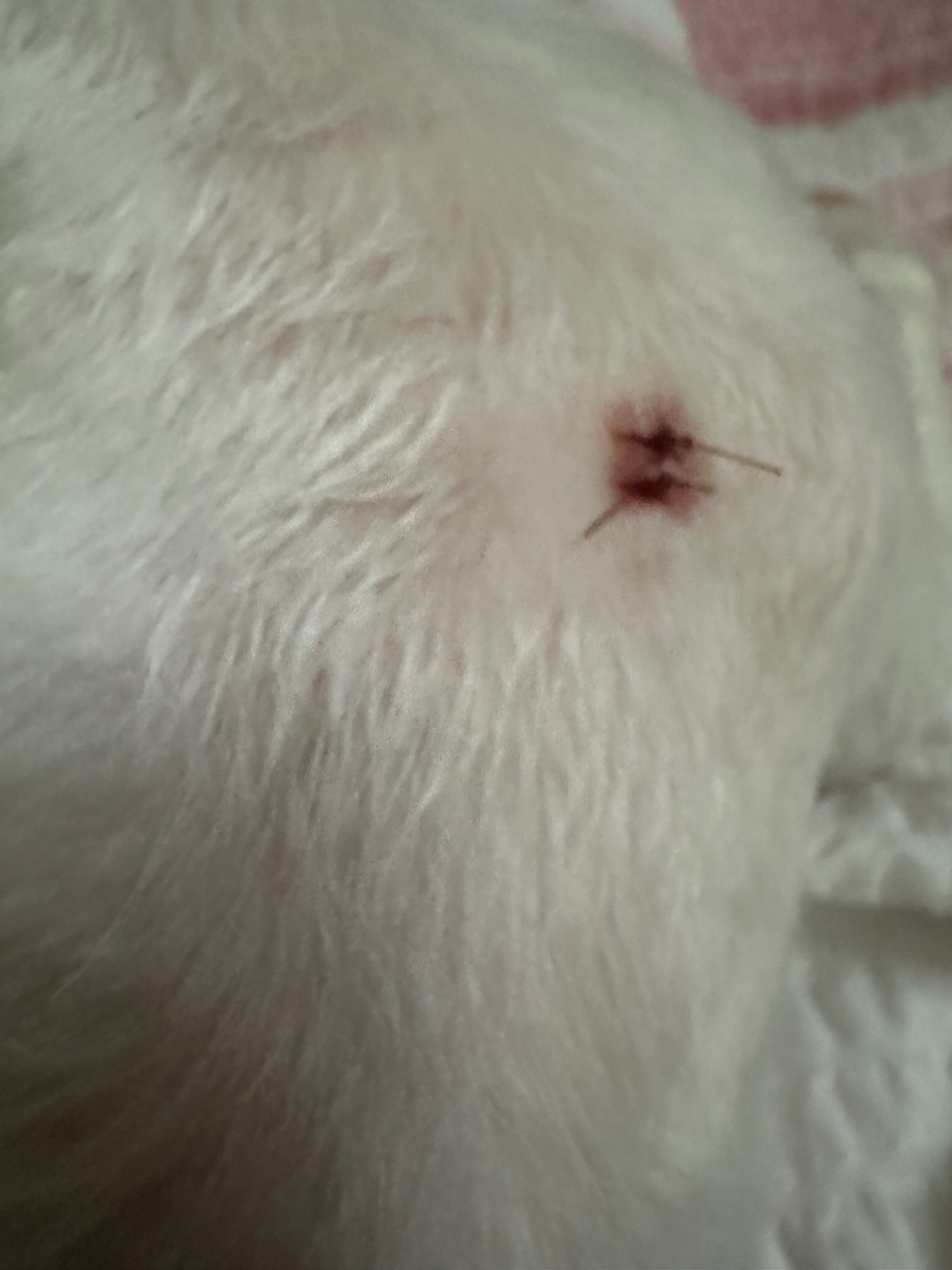 리뷰 사진 2
