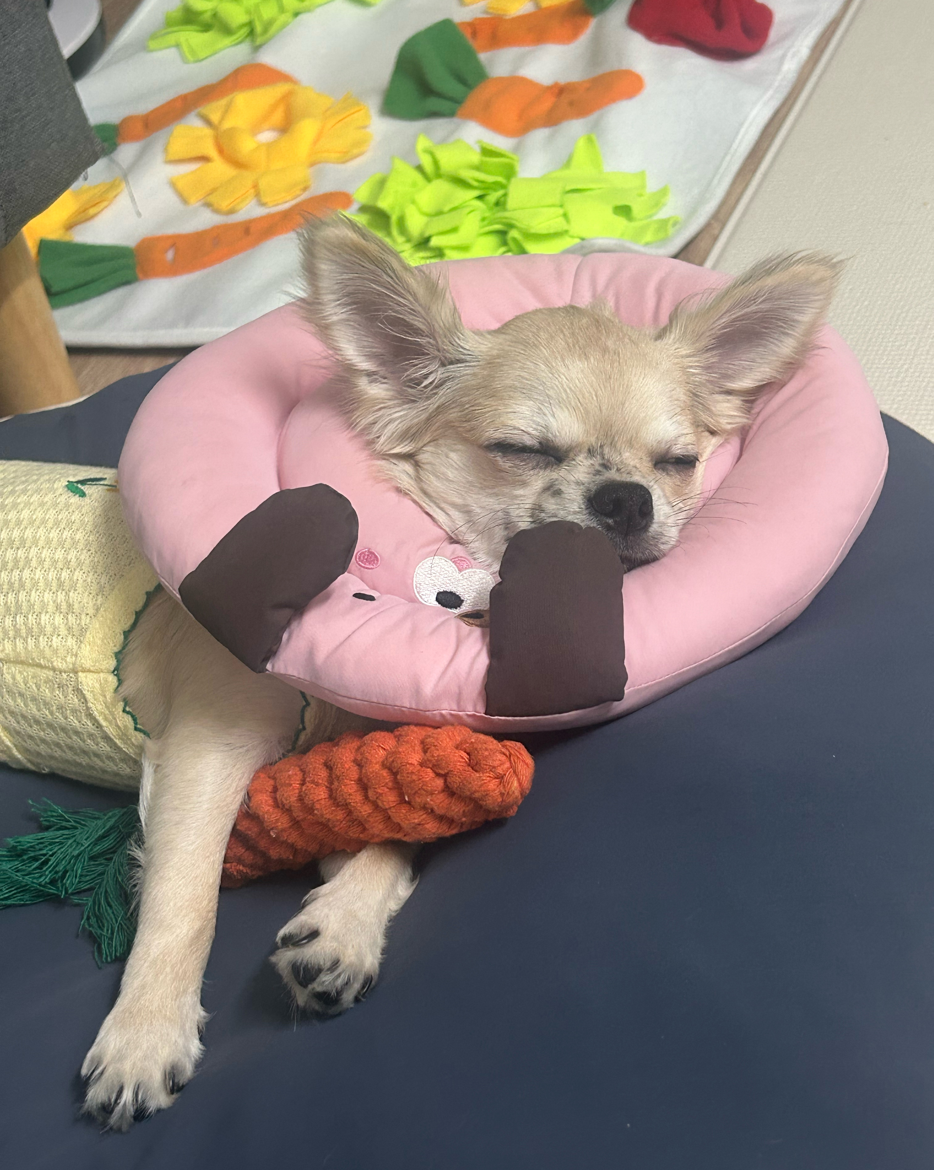 리뷰 사진 1