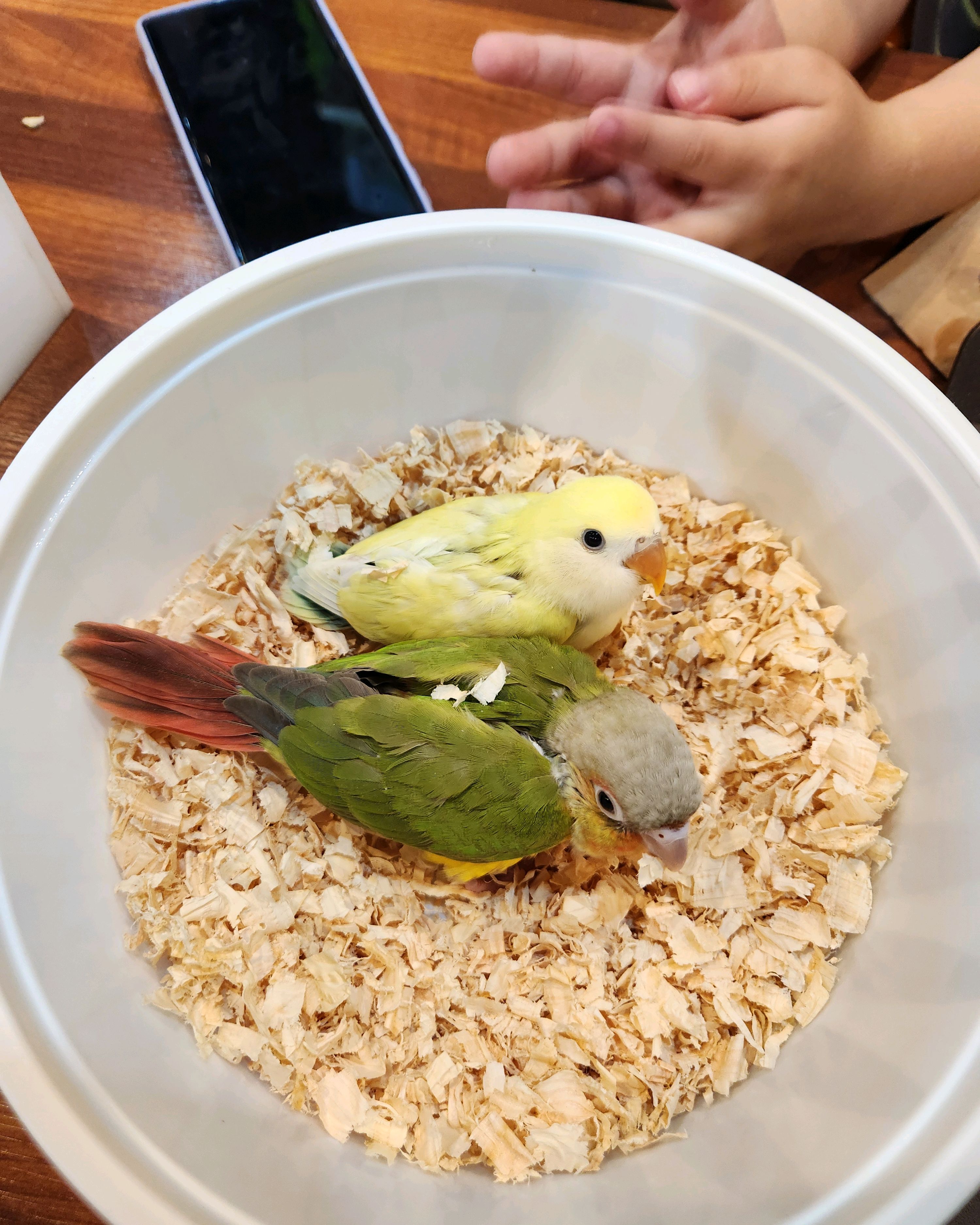 [삼척 맛집 버드브리즈] 직접 가본 로컬 리뷰