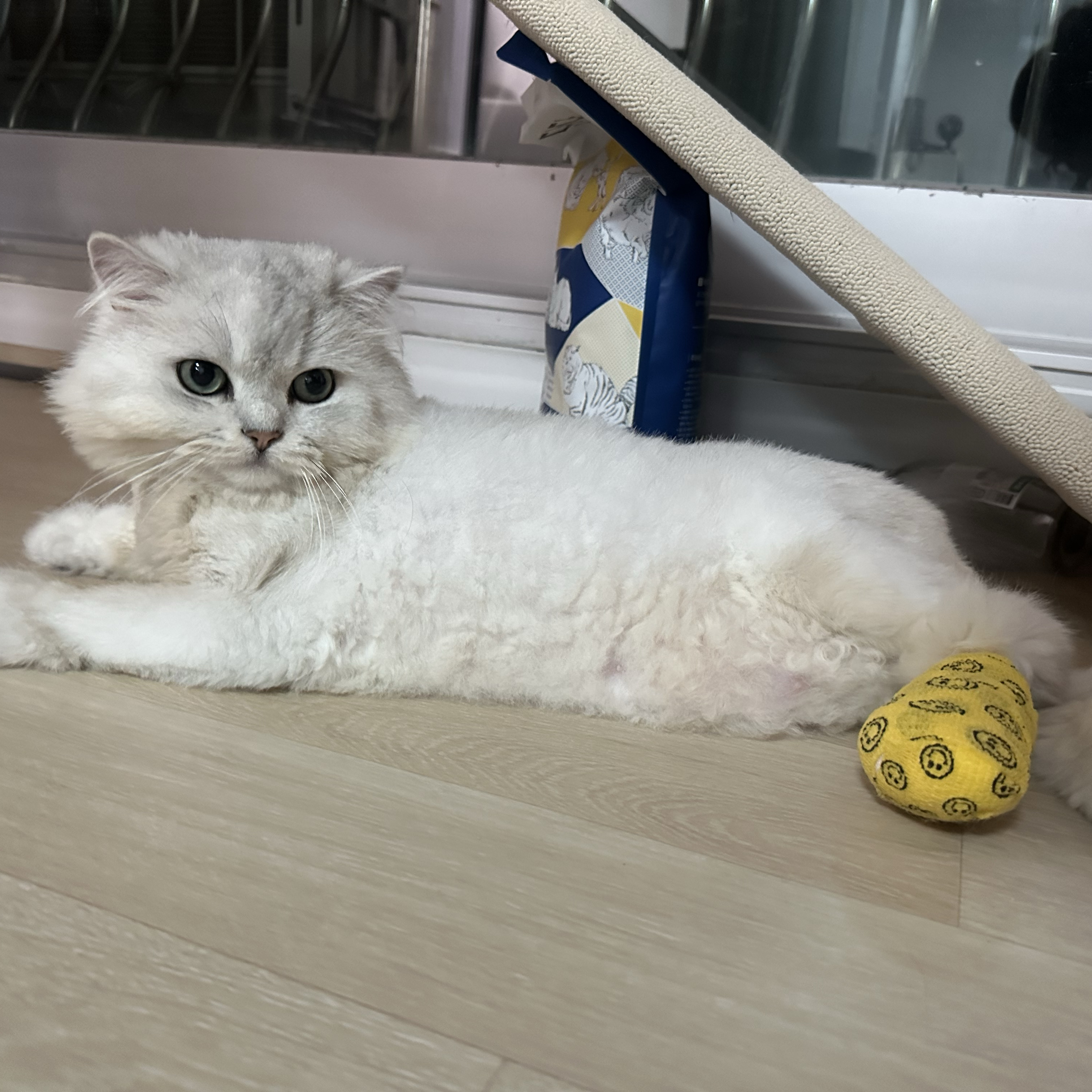 리뷰 사진 1
