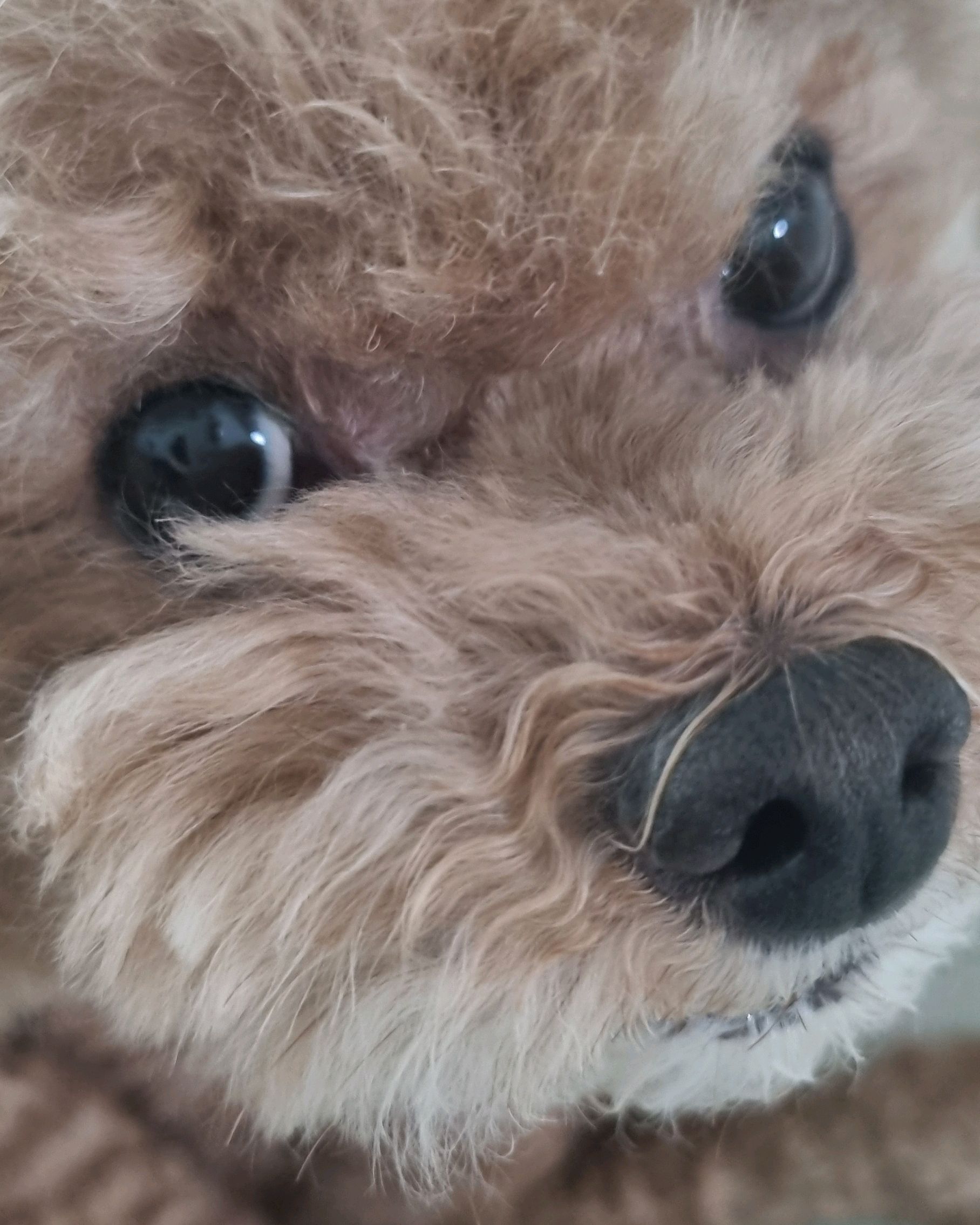 리뷰 사진 1