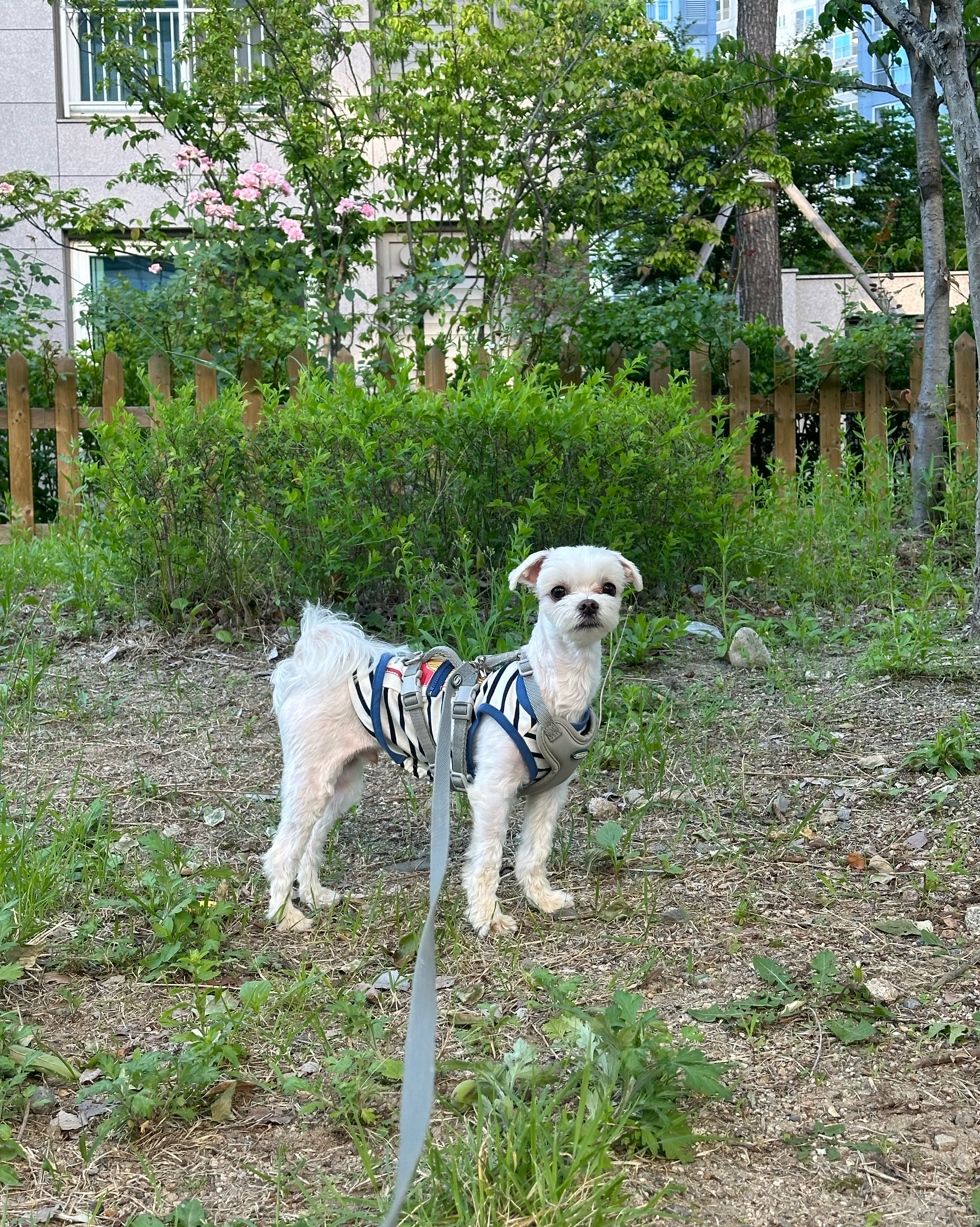 리뷰 사진 1