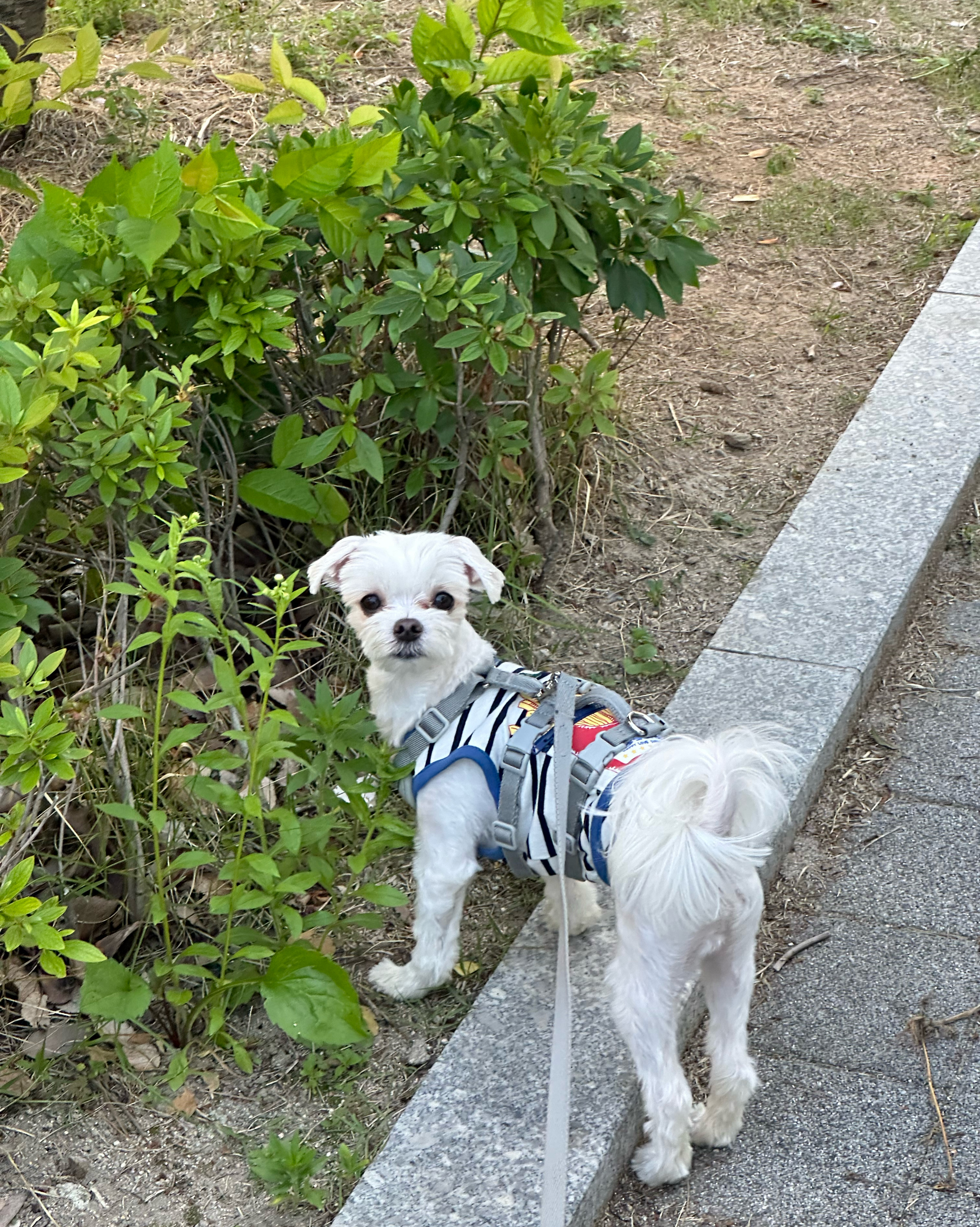 리뷰 사진 2