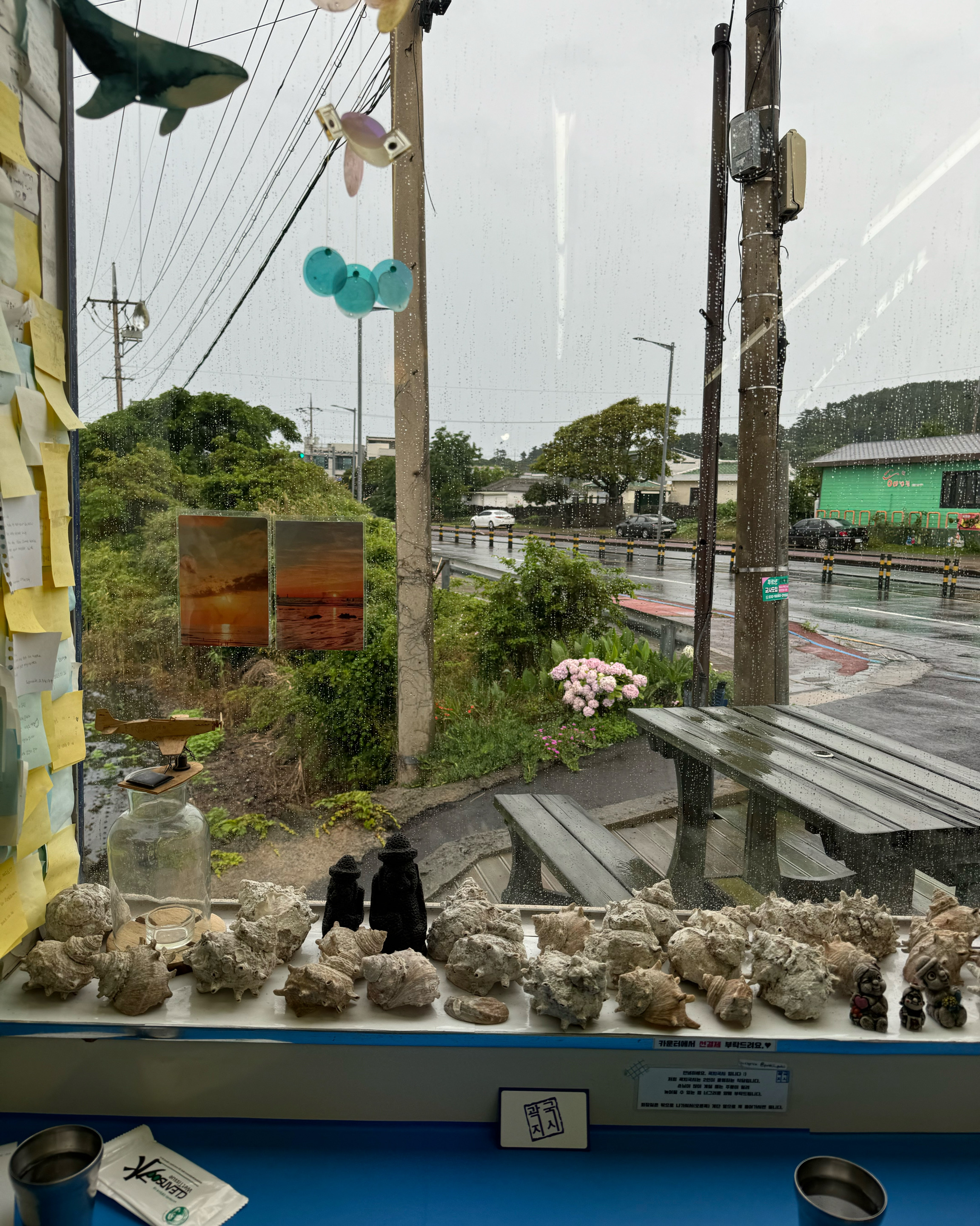 [애월 맛집 곽지국시] 직접 가본 로컬 리뷰