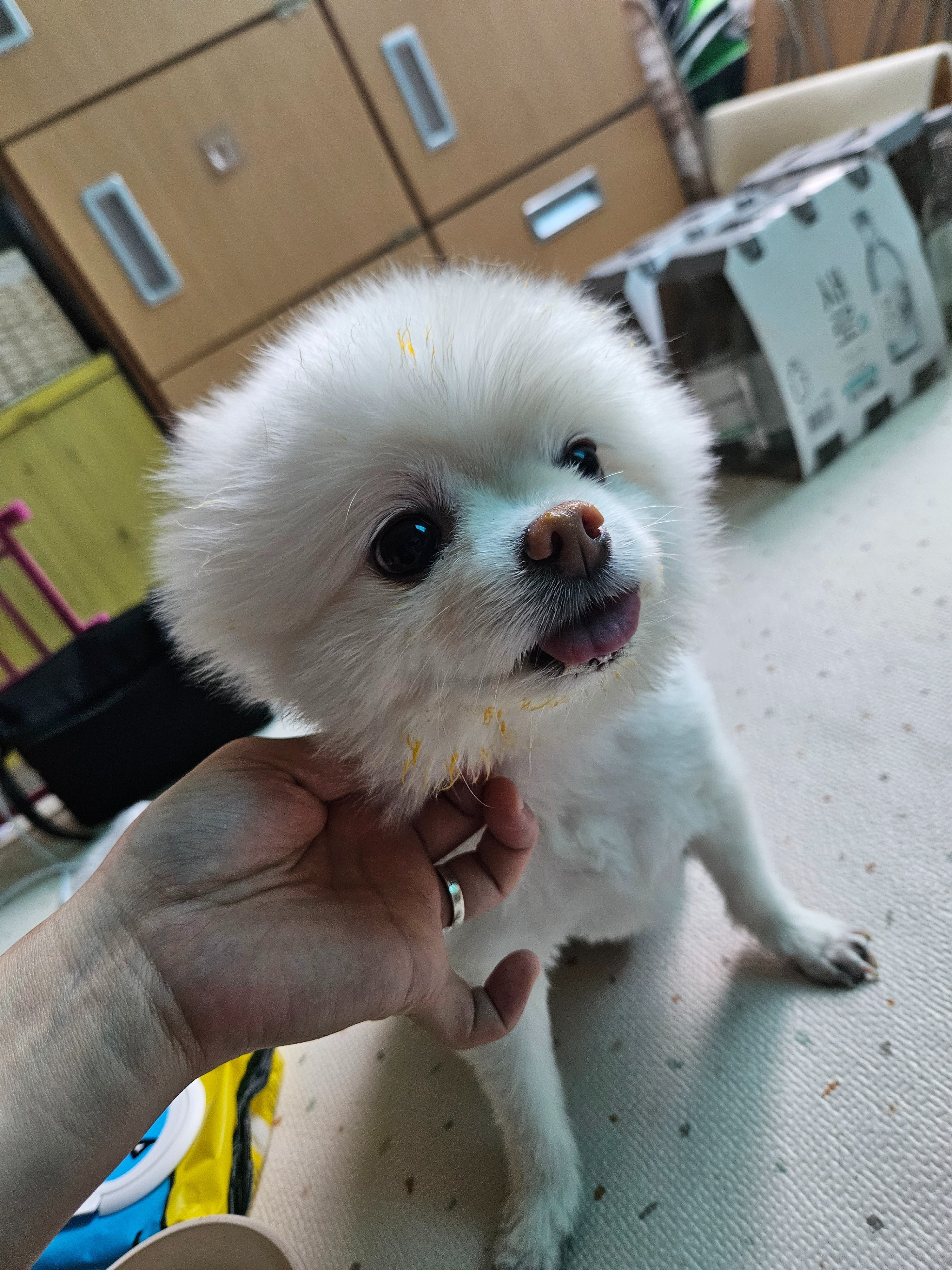 리뷰 사진 1