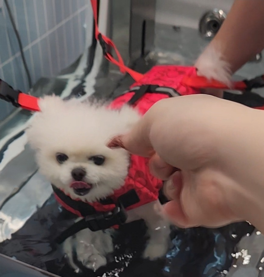 리뷰 사진 1