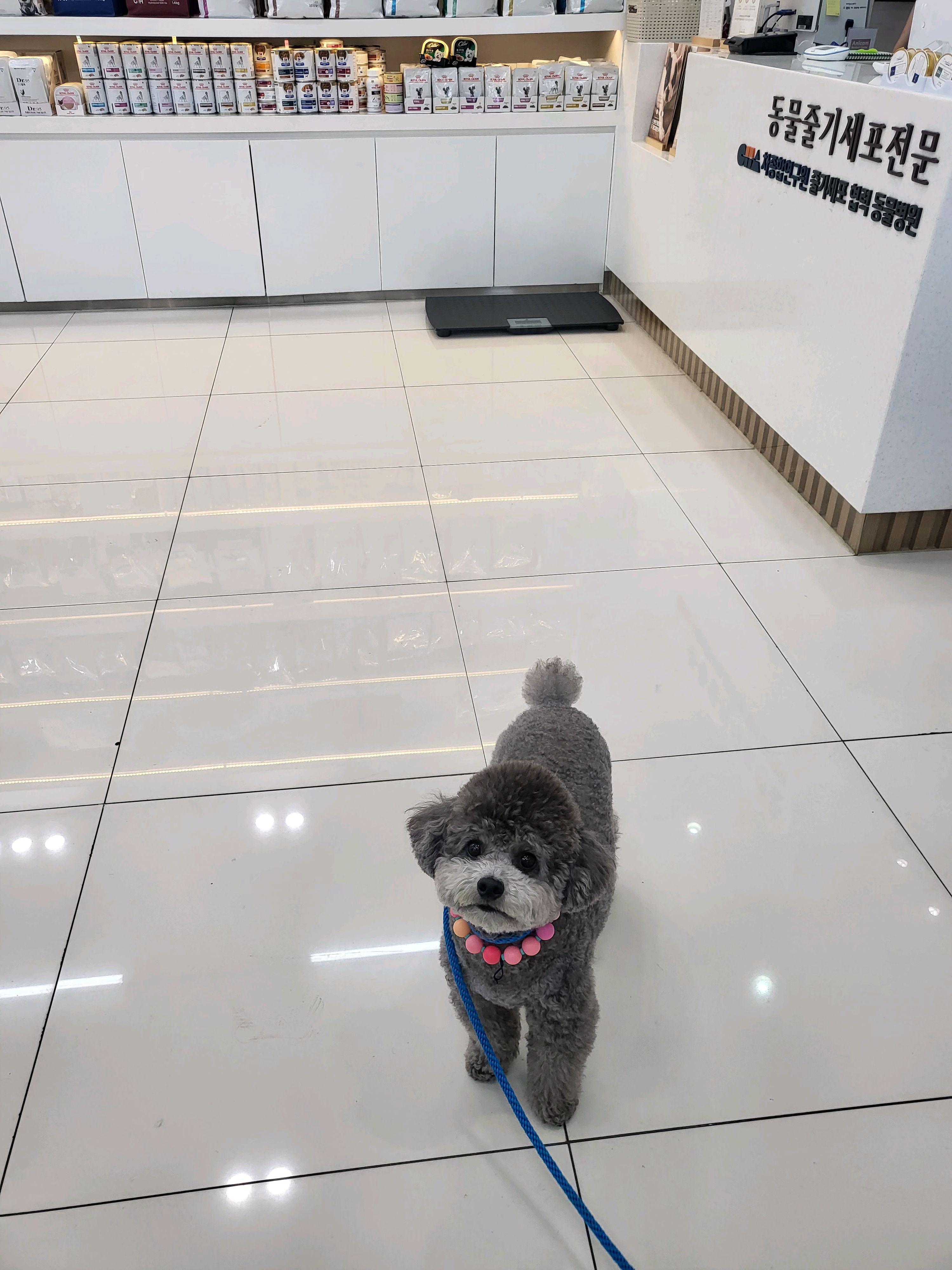 리뷰 사진 1